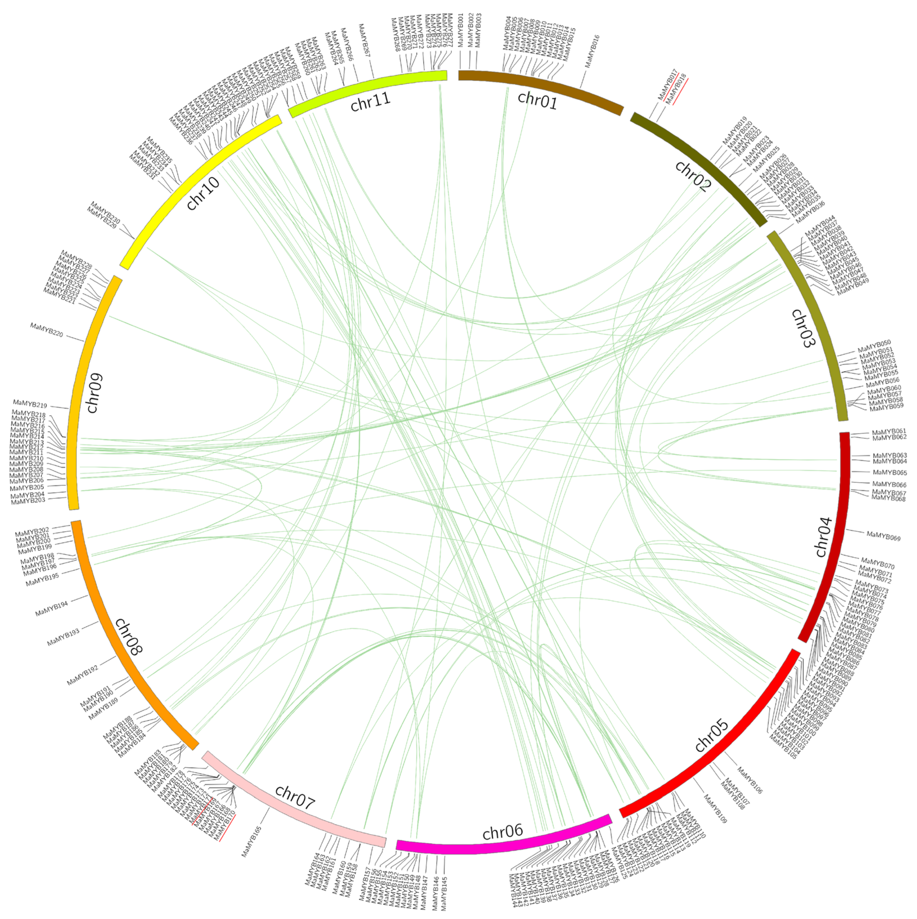 Plants 12 00152 g003