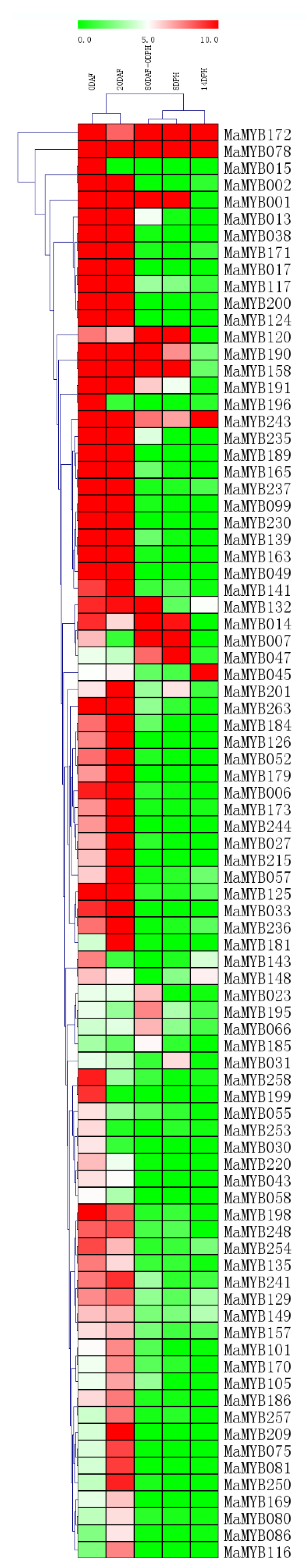 Plants 12 00152 g004