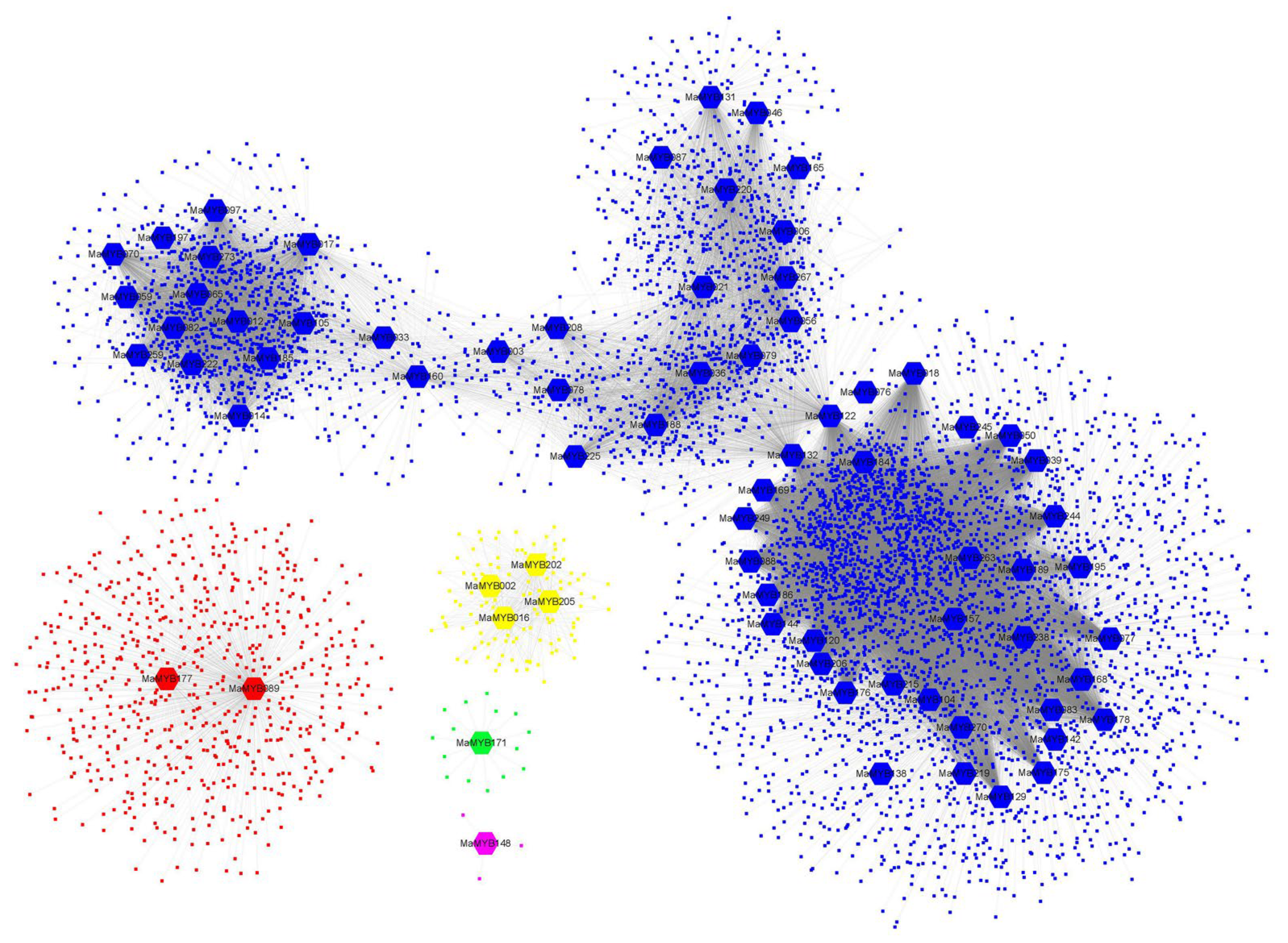 Plants 12 00152 g006