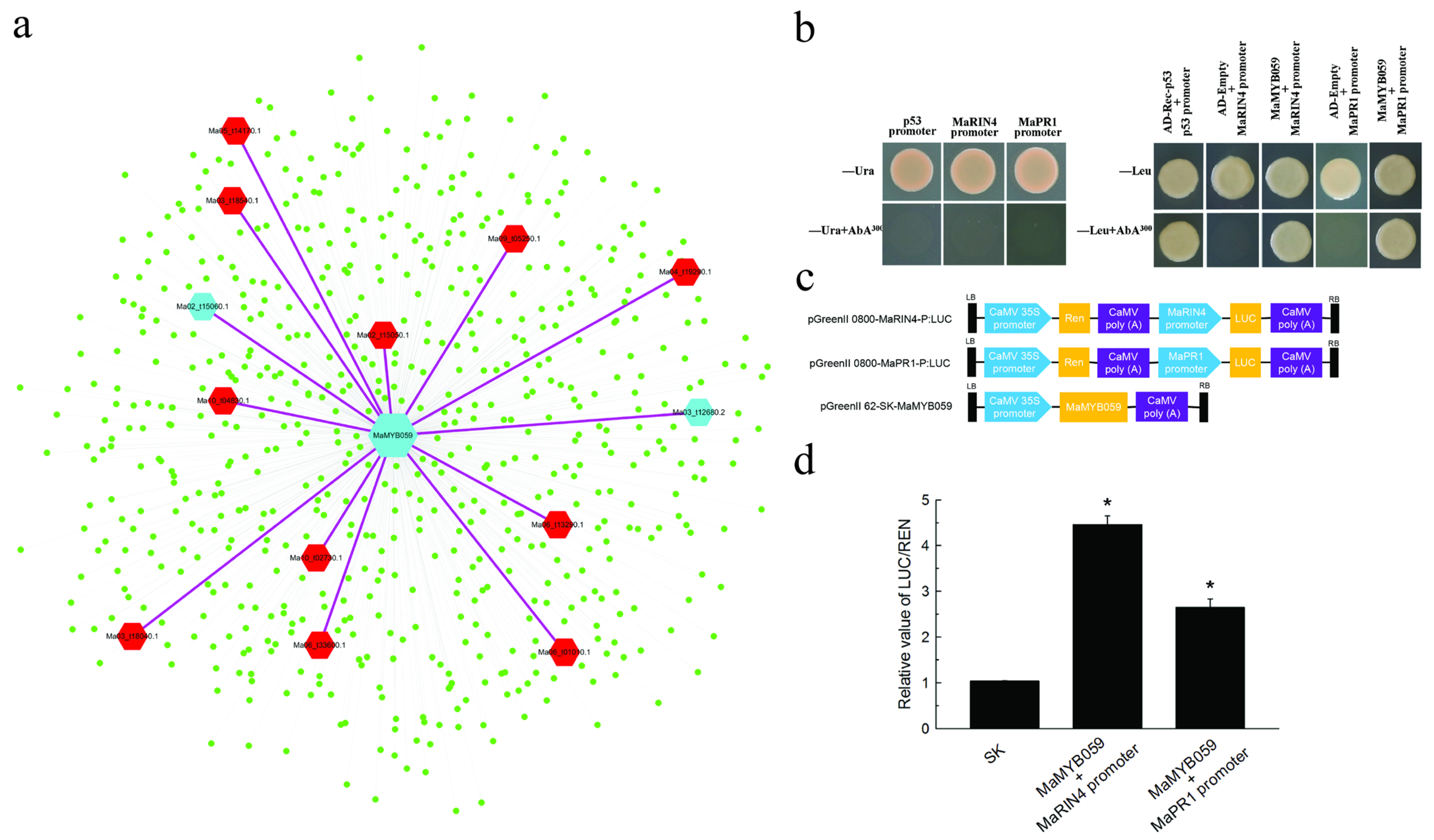 Plants 12 00152 g008