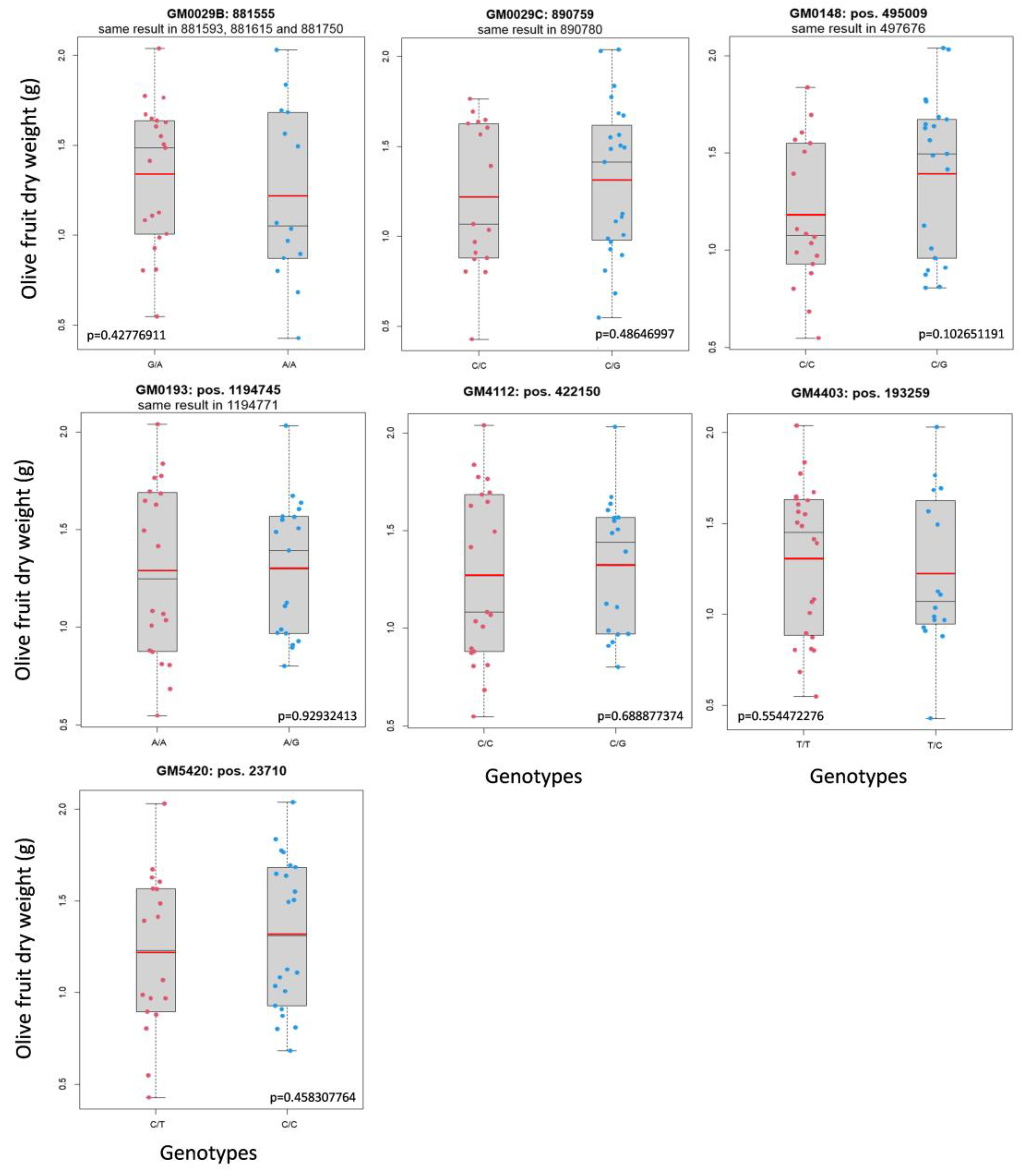 Plants 12 00155 g003 Plants 12 00155 g003