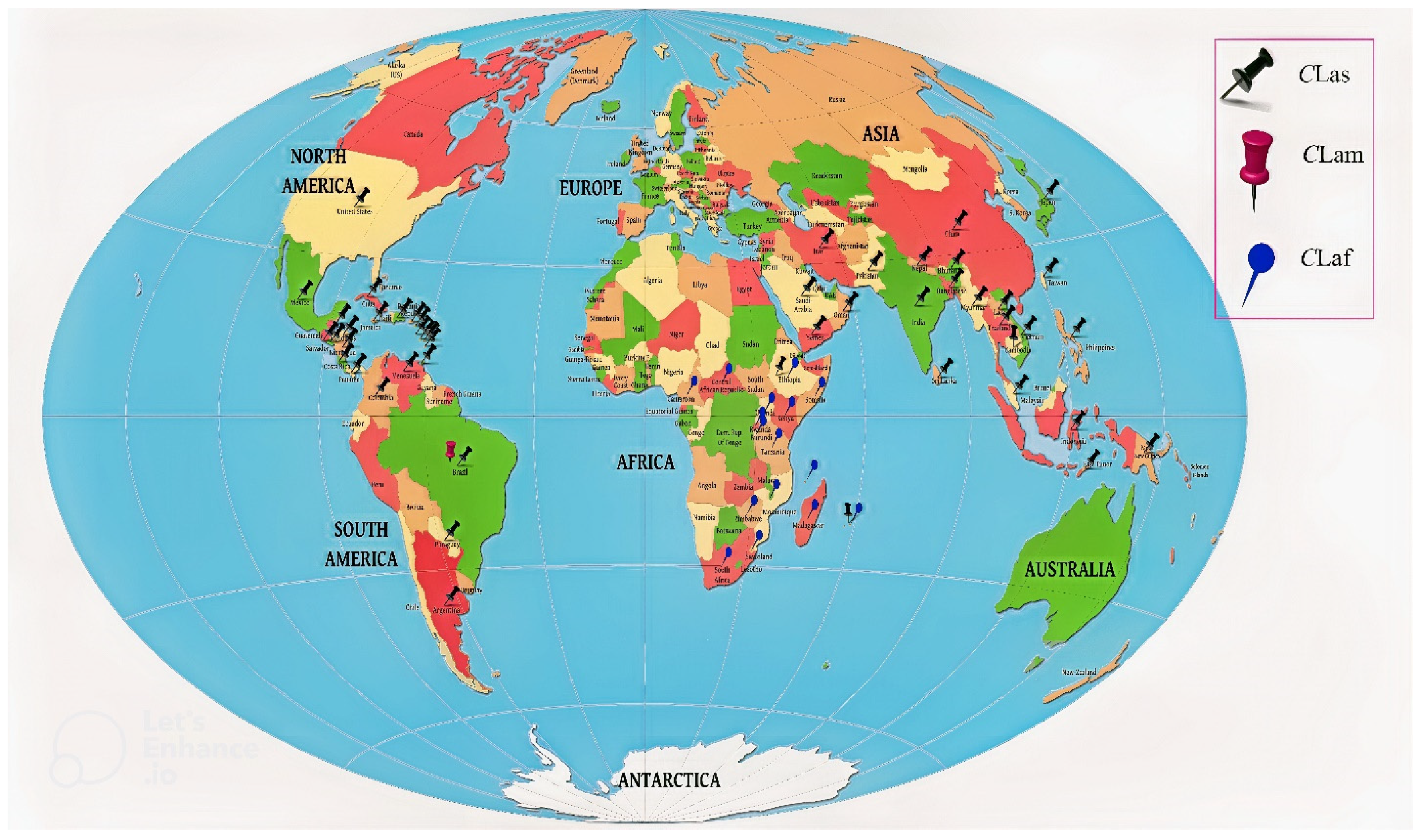 Plants 12 00160 g001