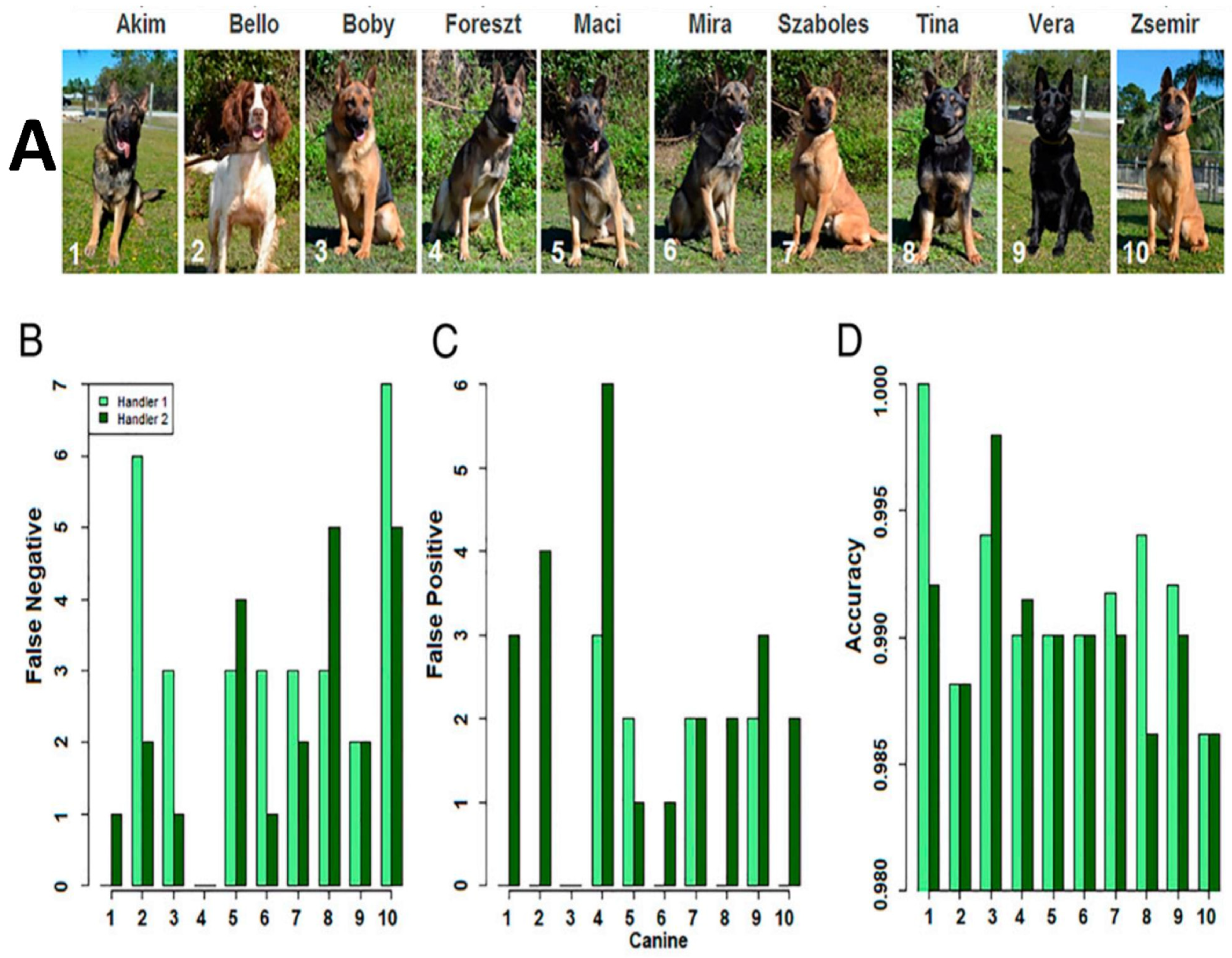 Plants 12 00160 g005