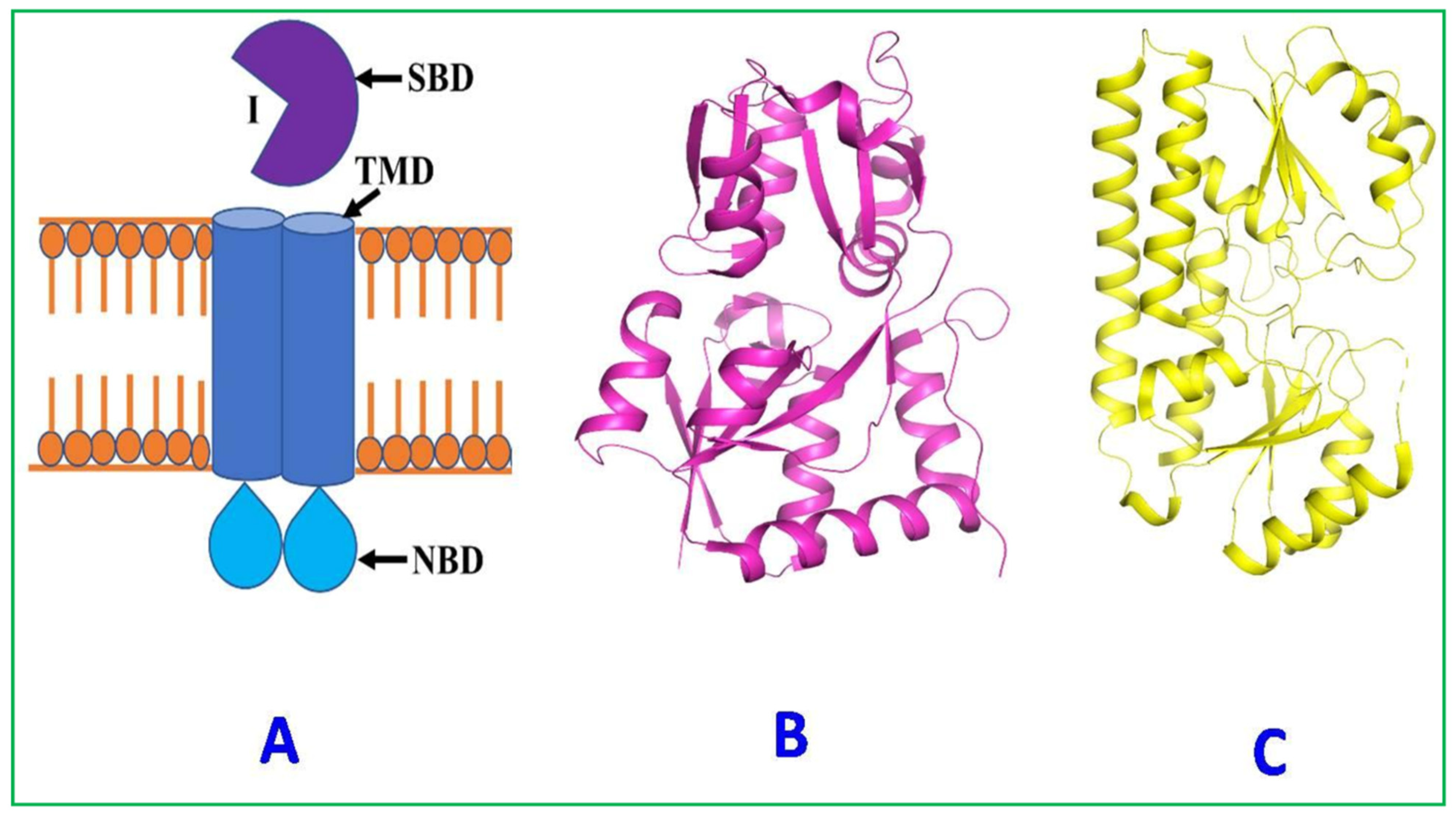 Plants 12 00160 g007