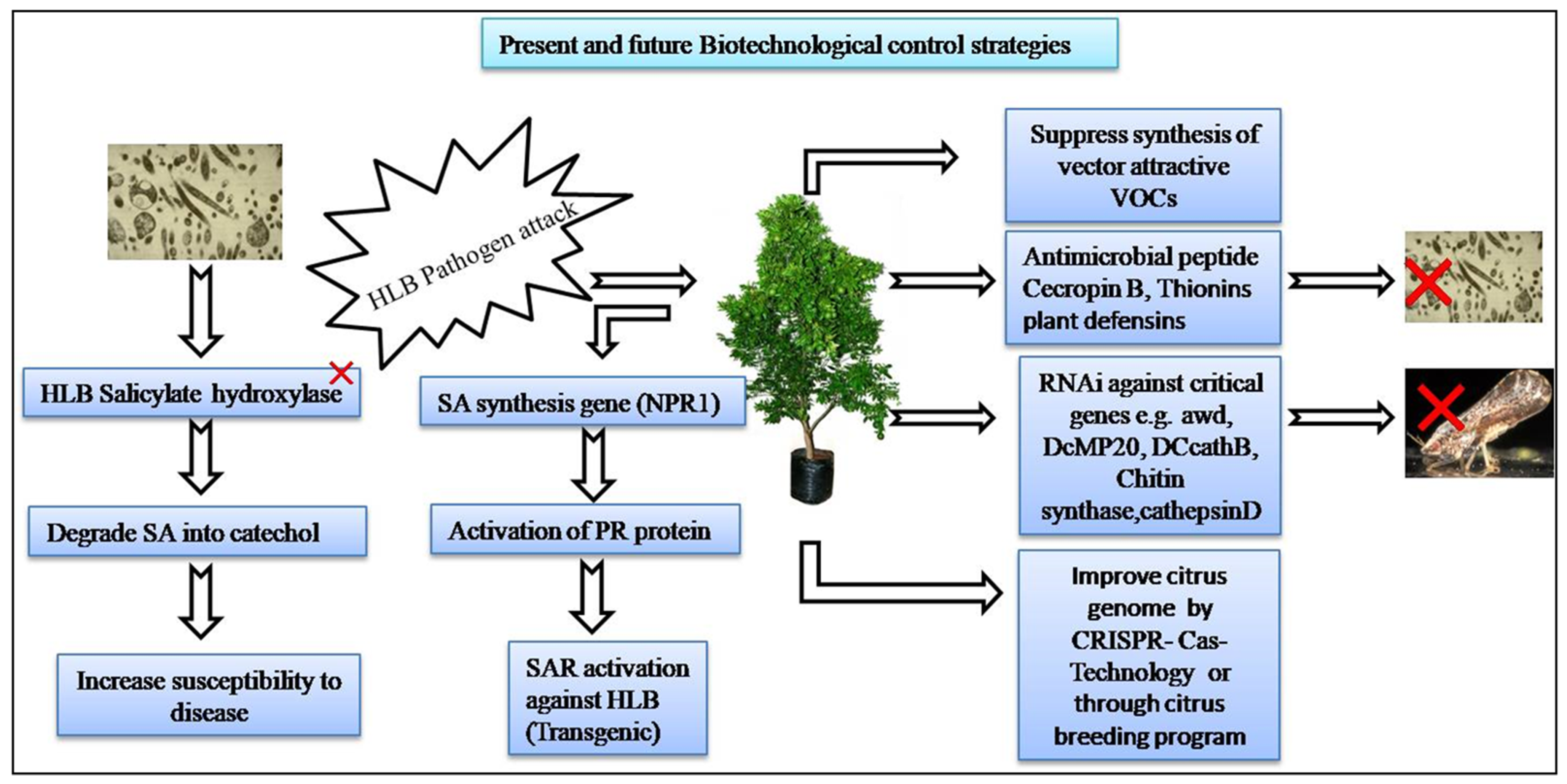Plants 12 00160 g010