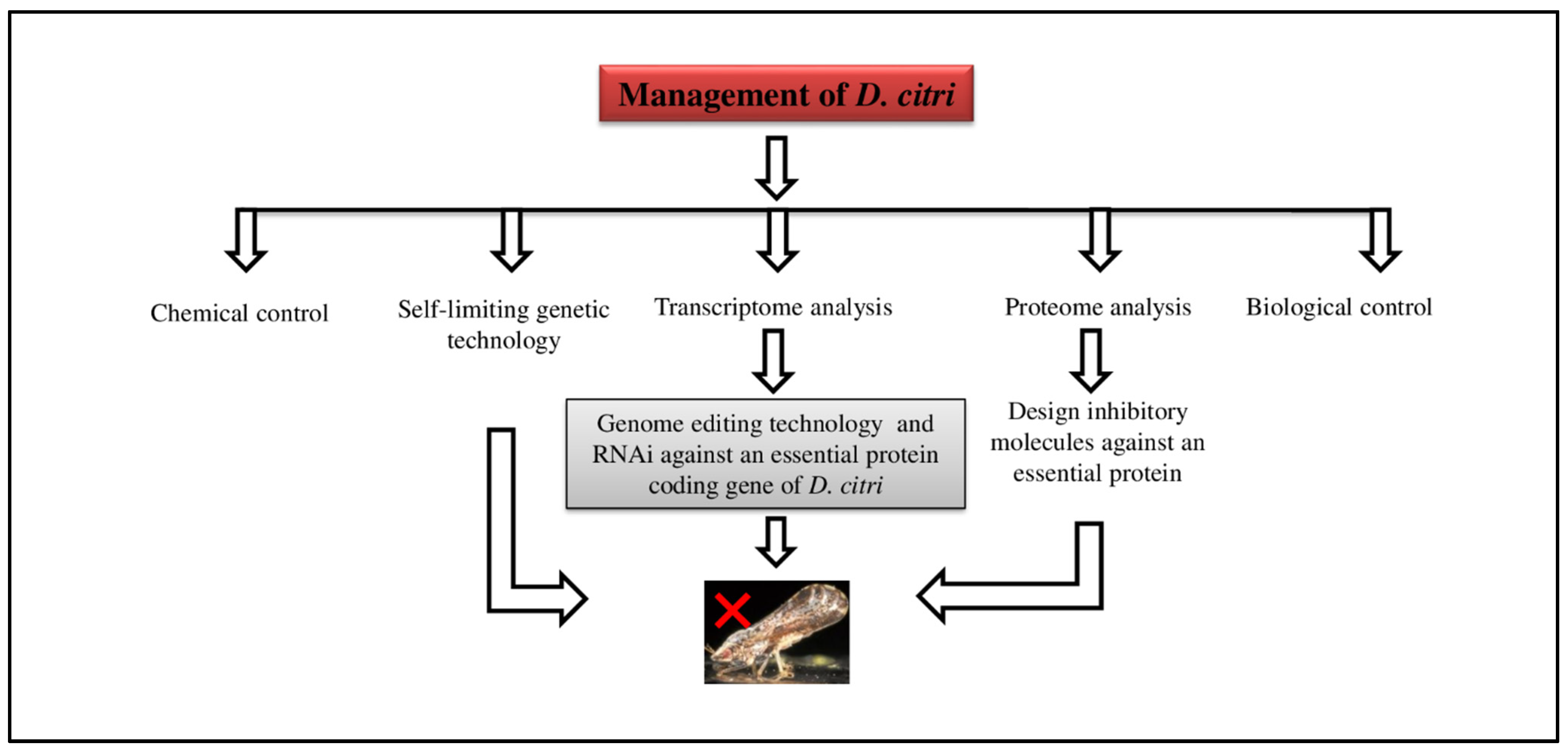 Plants 12 00160 g011
