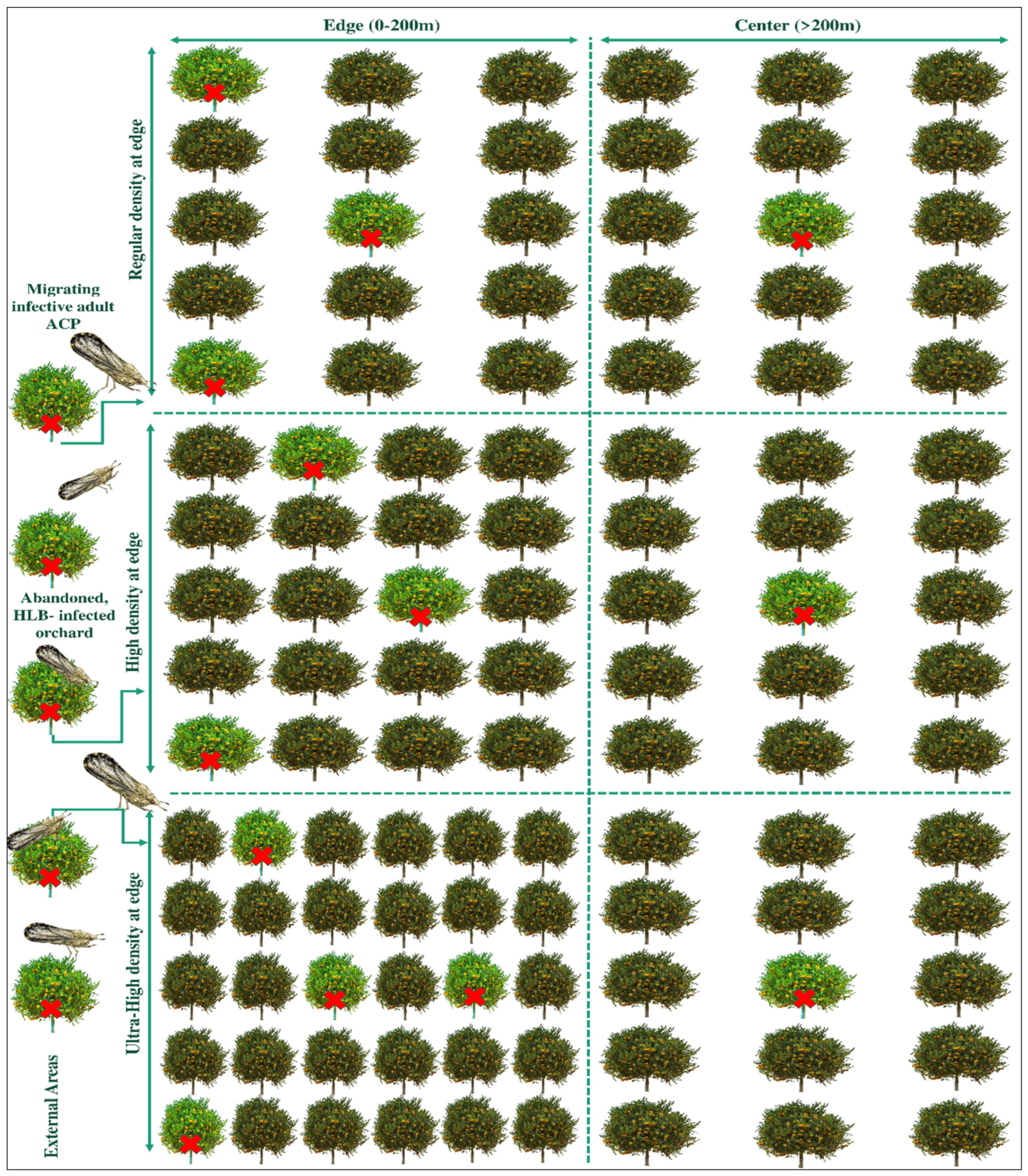 Plants 12 00160 g012