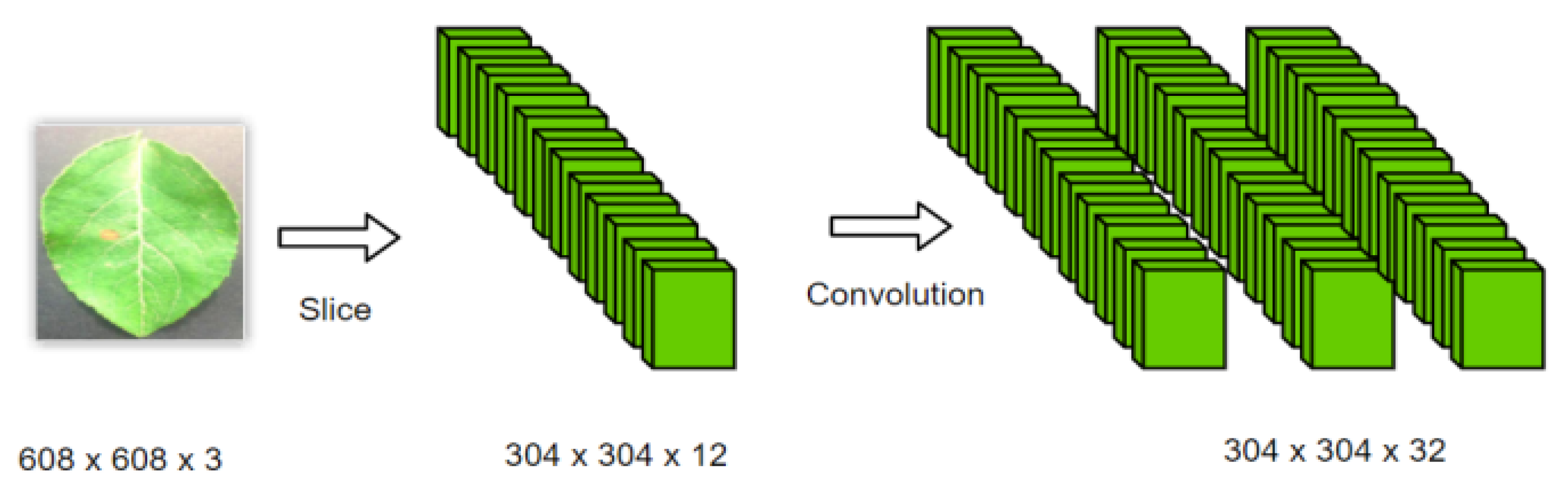 Plants 12 00169 g005