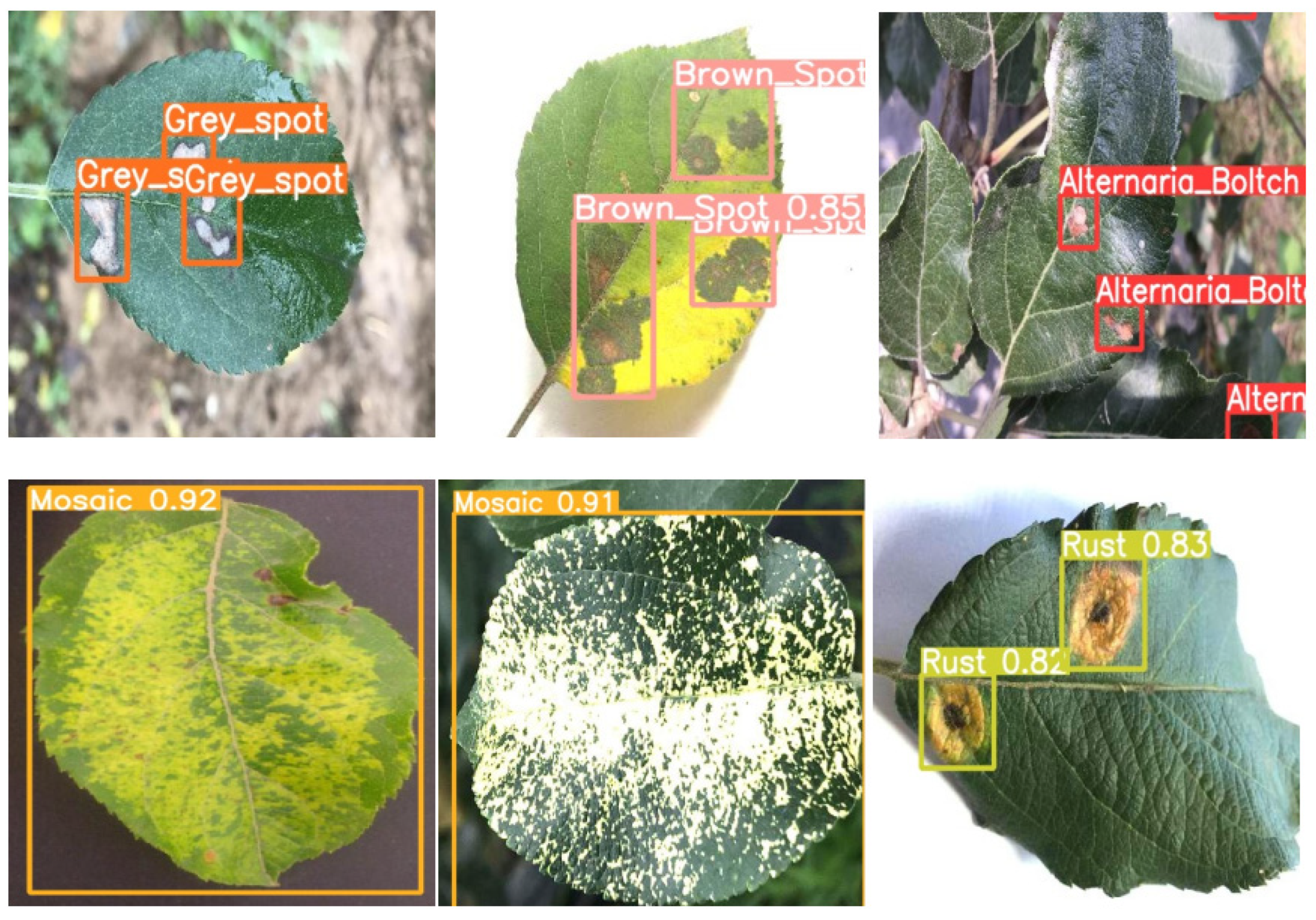 Plants 12 00169 g017