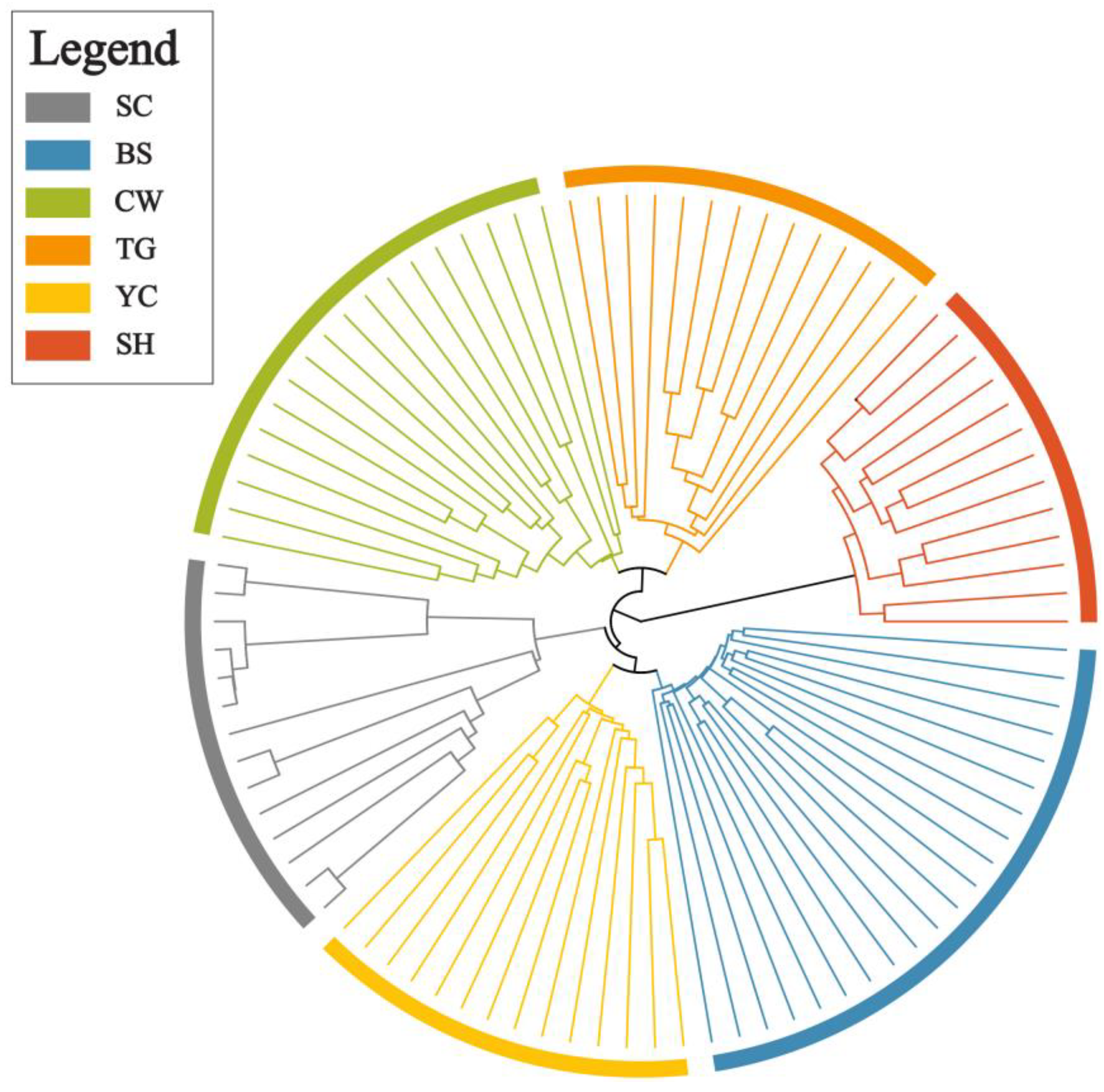 Plants 12 00171 g004