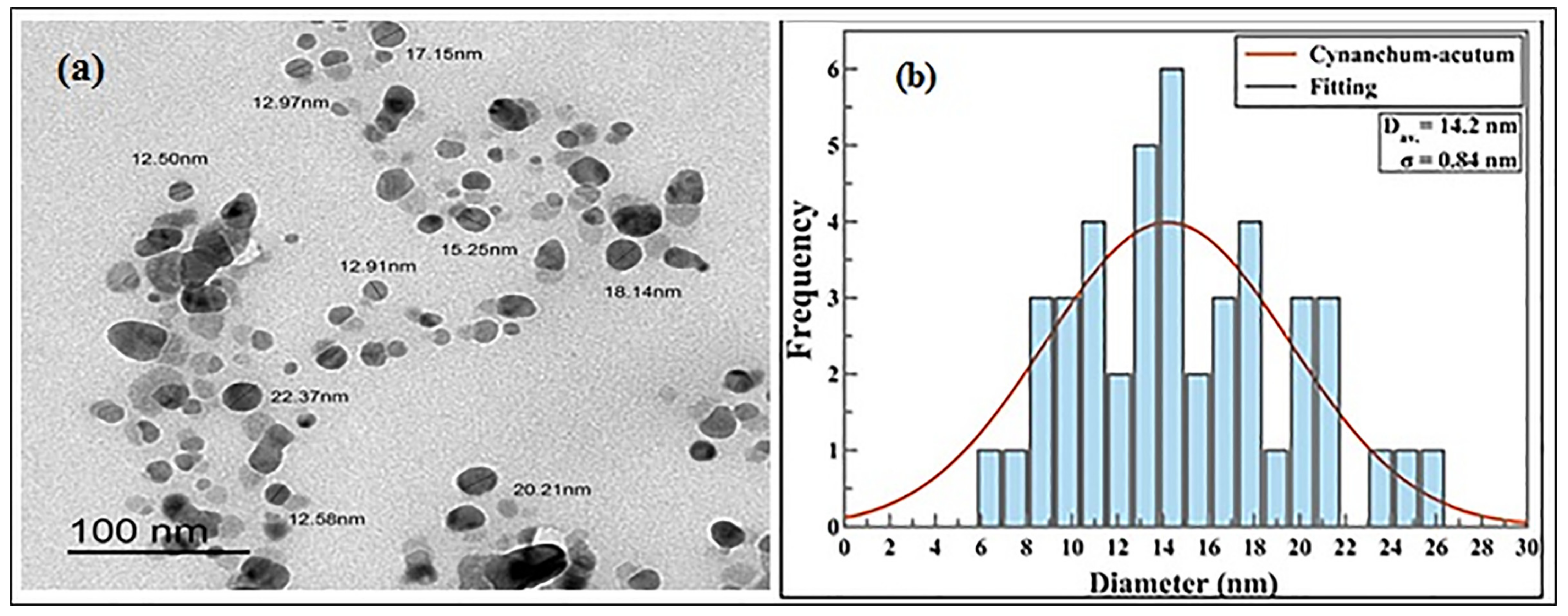 Plants 12 00172 g002 Plants 12 00172 g002