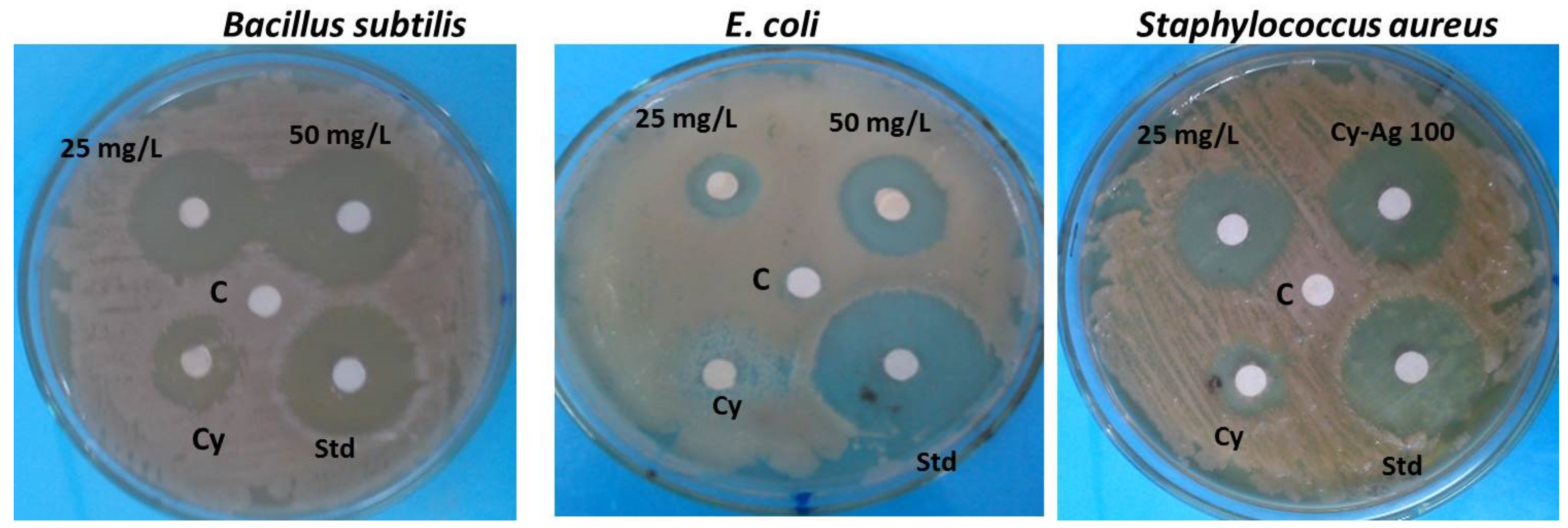 Plants 12 00172 g008 Plants 12 00172 g008