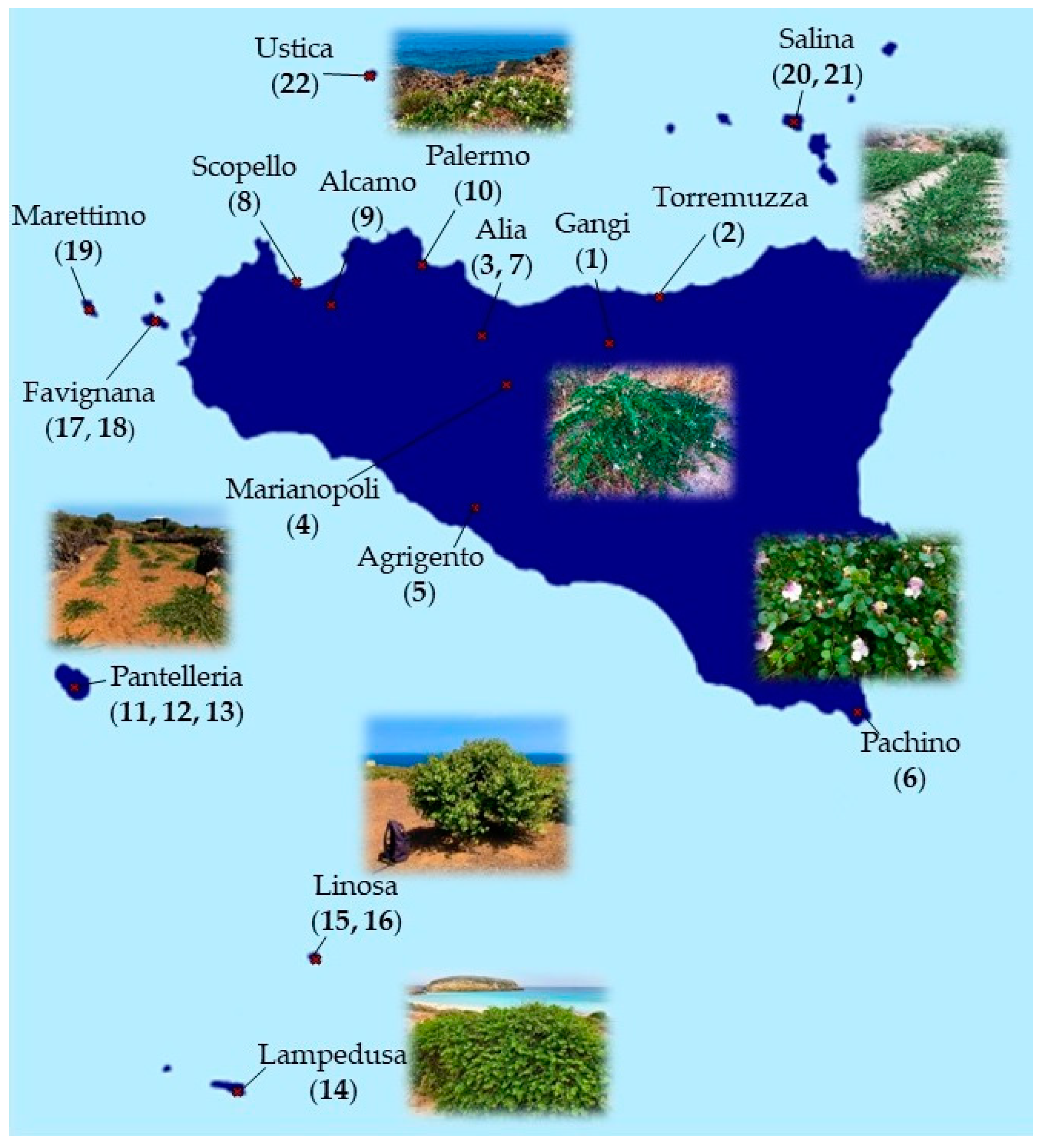 Plants 12 00197 g002