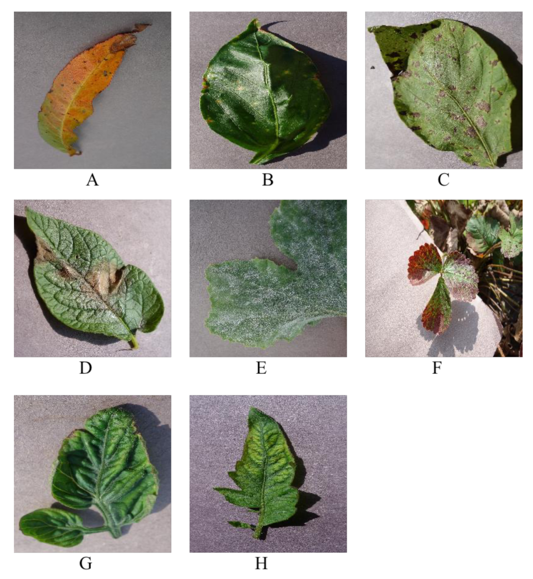 Plants 12 00200 g003 Plants 12 00200 g003