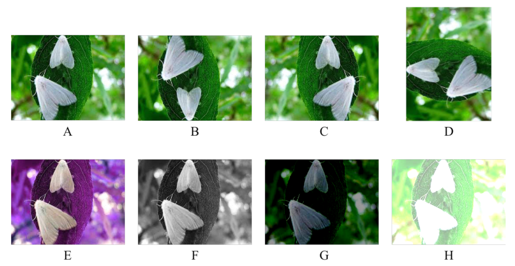Plants 12 00200 g005 Plants 12 00200 g005