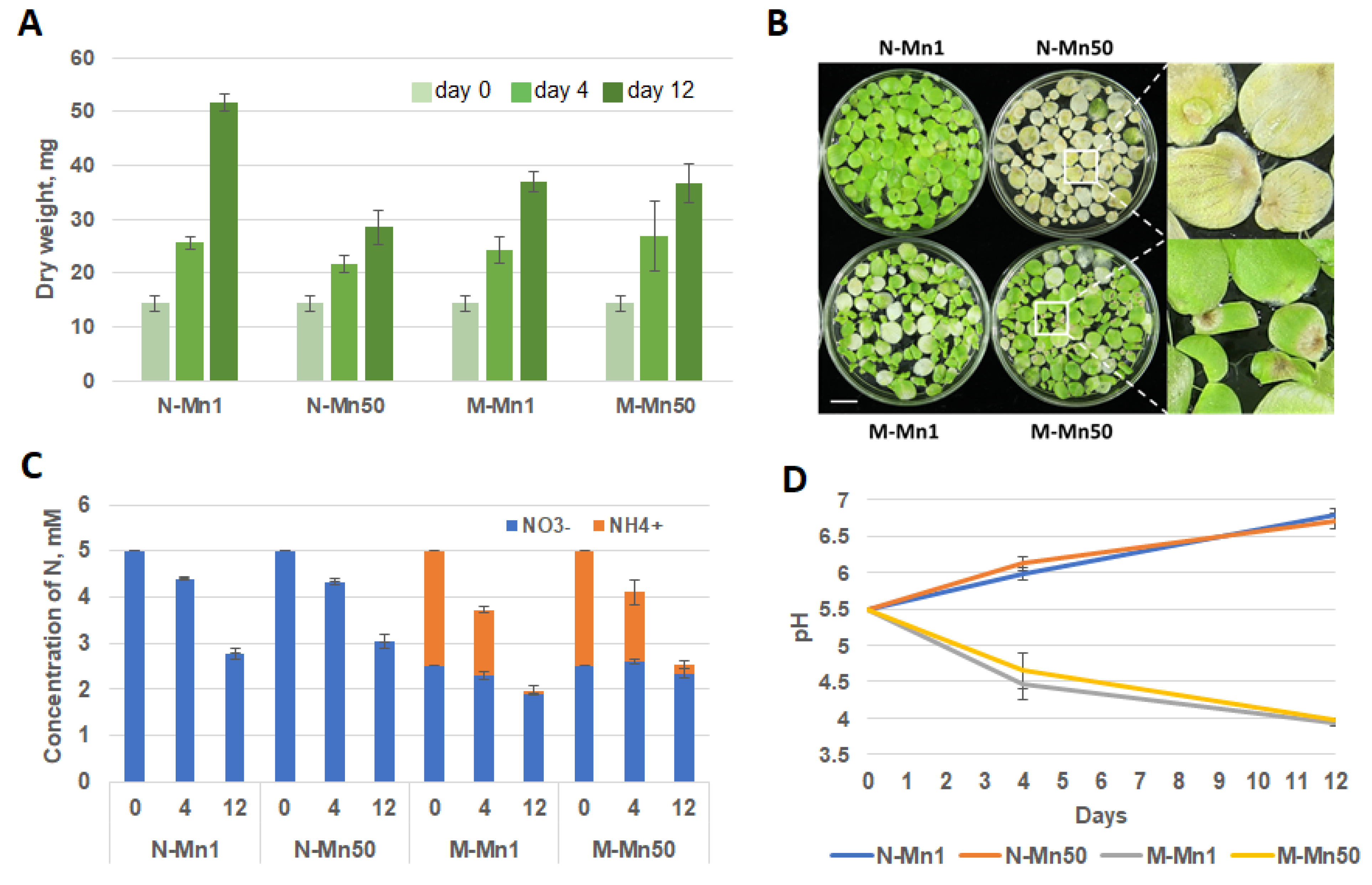 Plants 12 00208 g001
