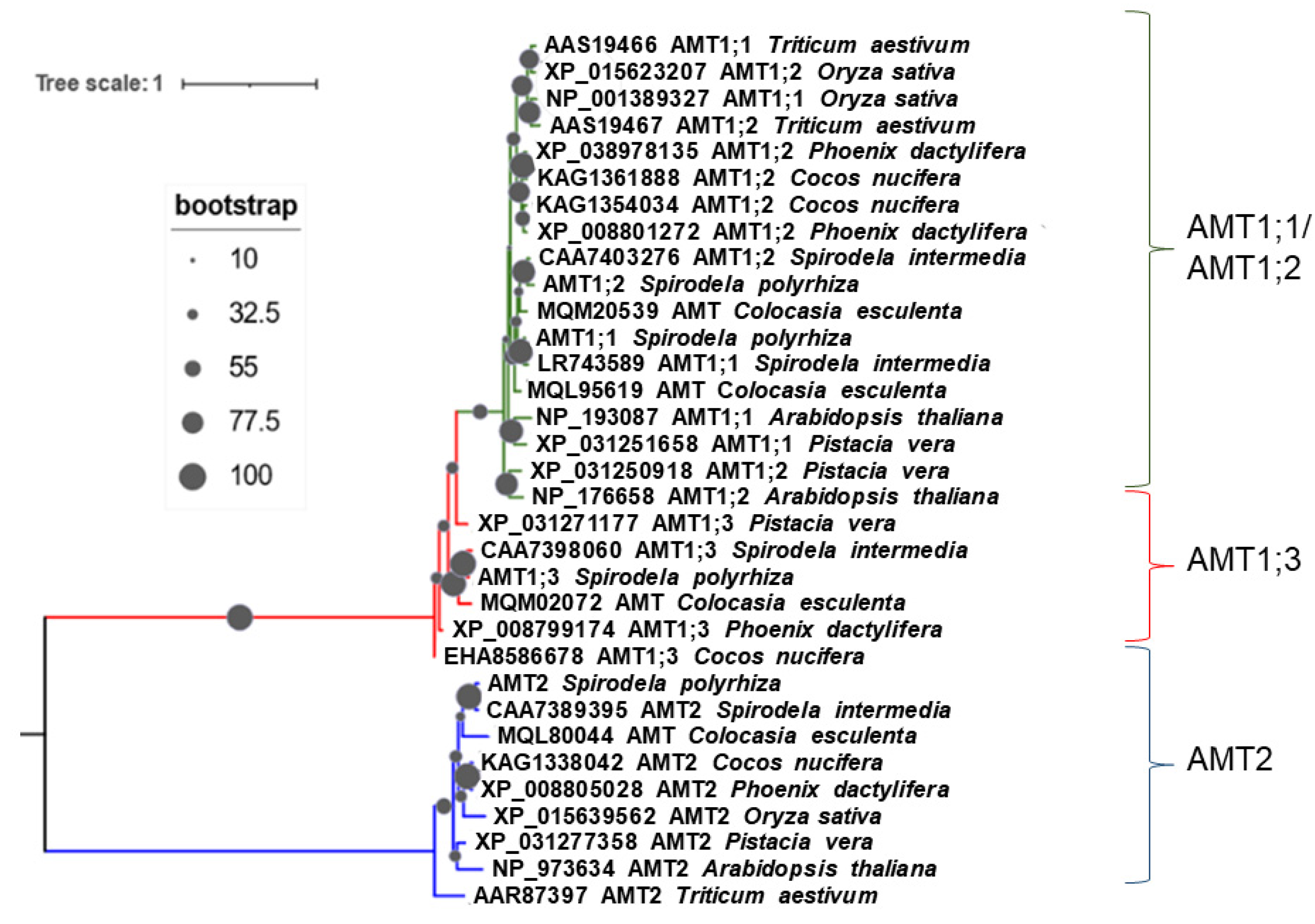 Plants 12 00208 g002