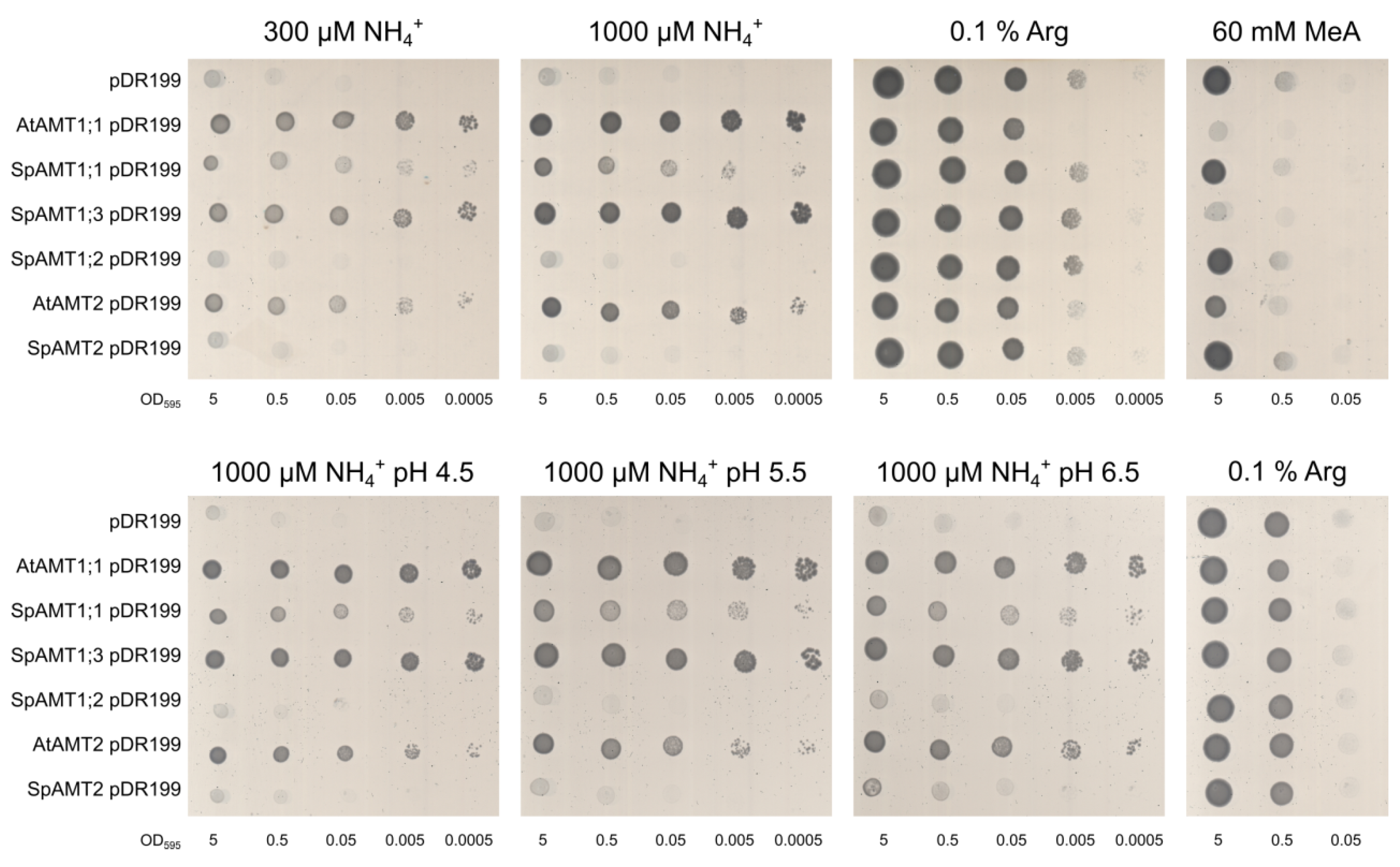 Plants 12 00208 g003