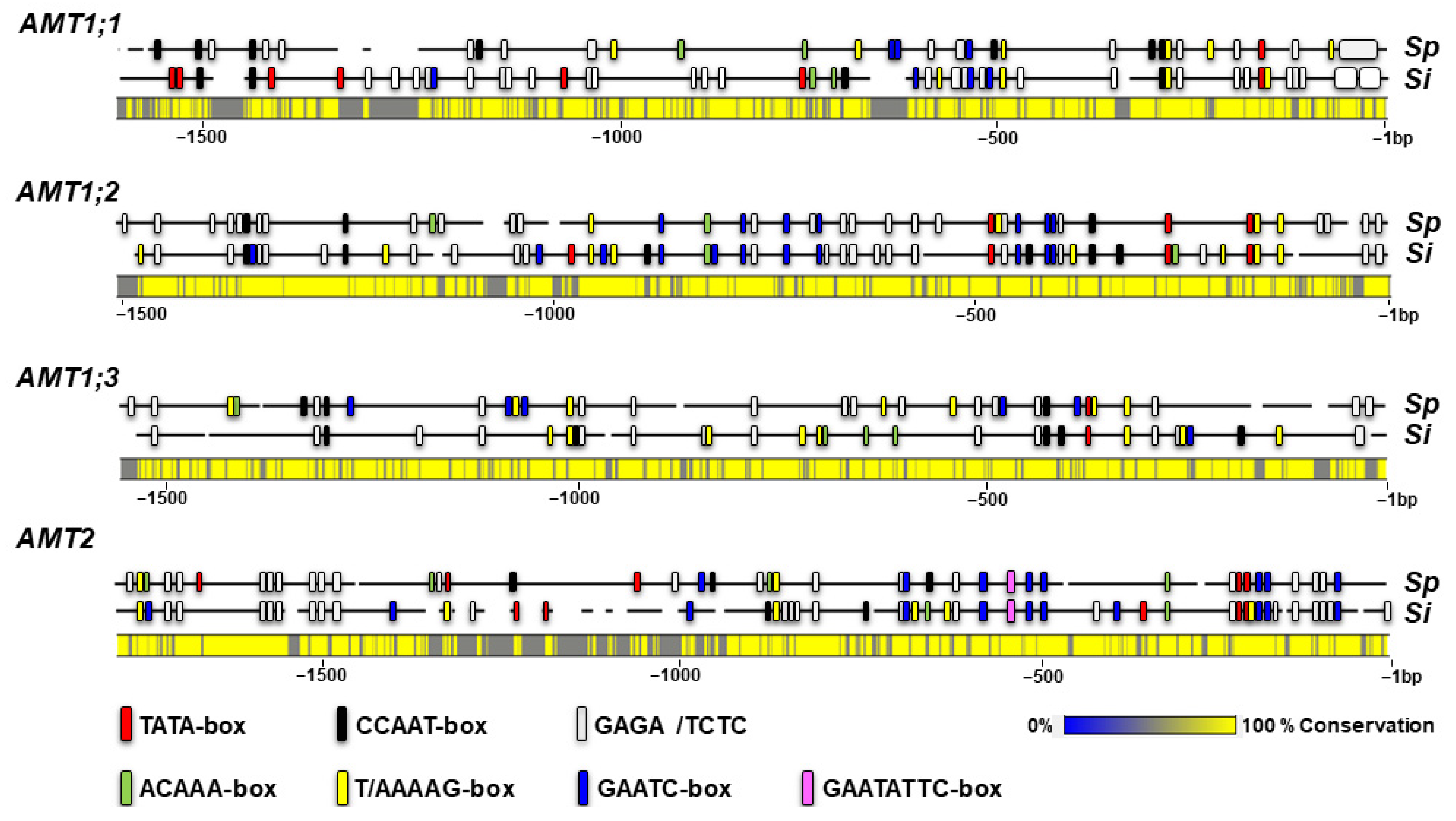 Plants 12 00208 g006