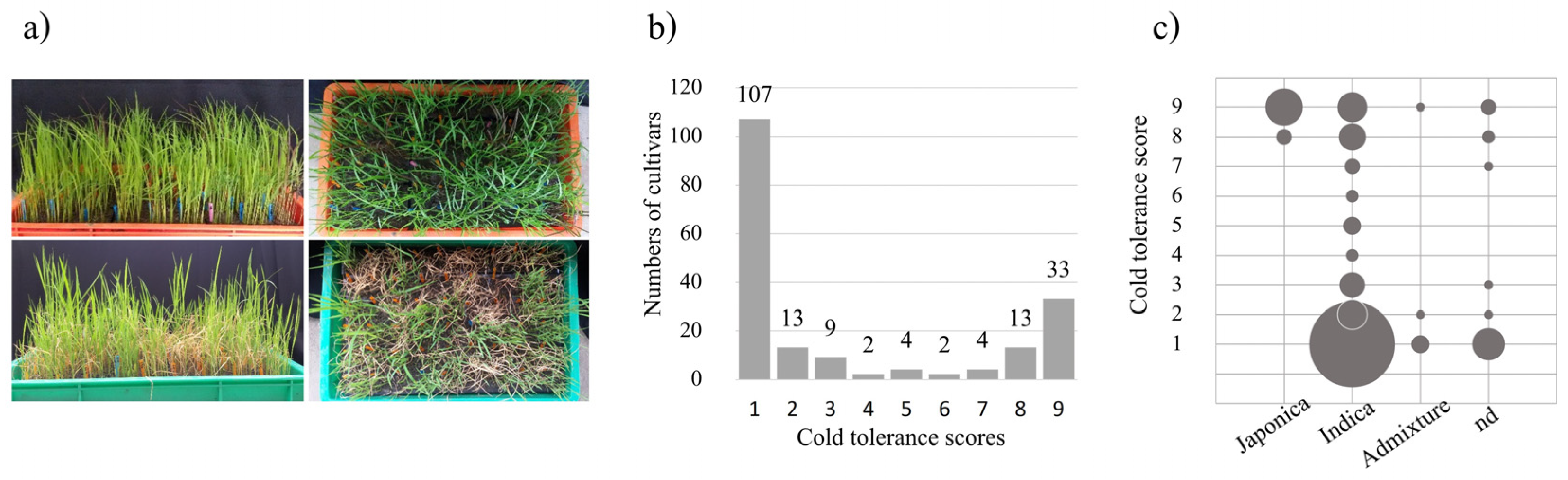 Plants 12 00215 g001