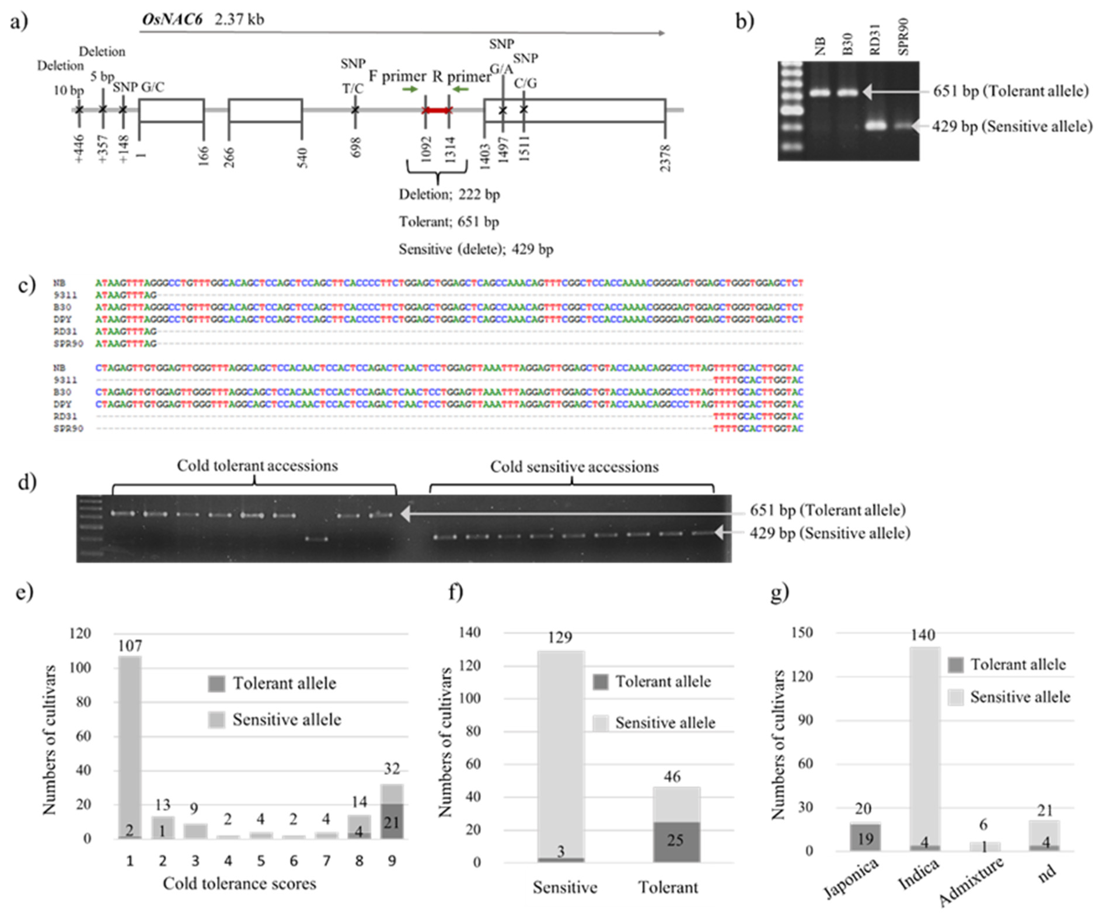 Plants 12 00215 g002