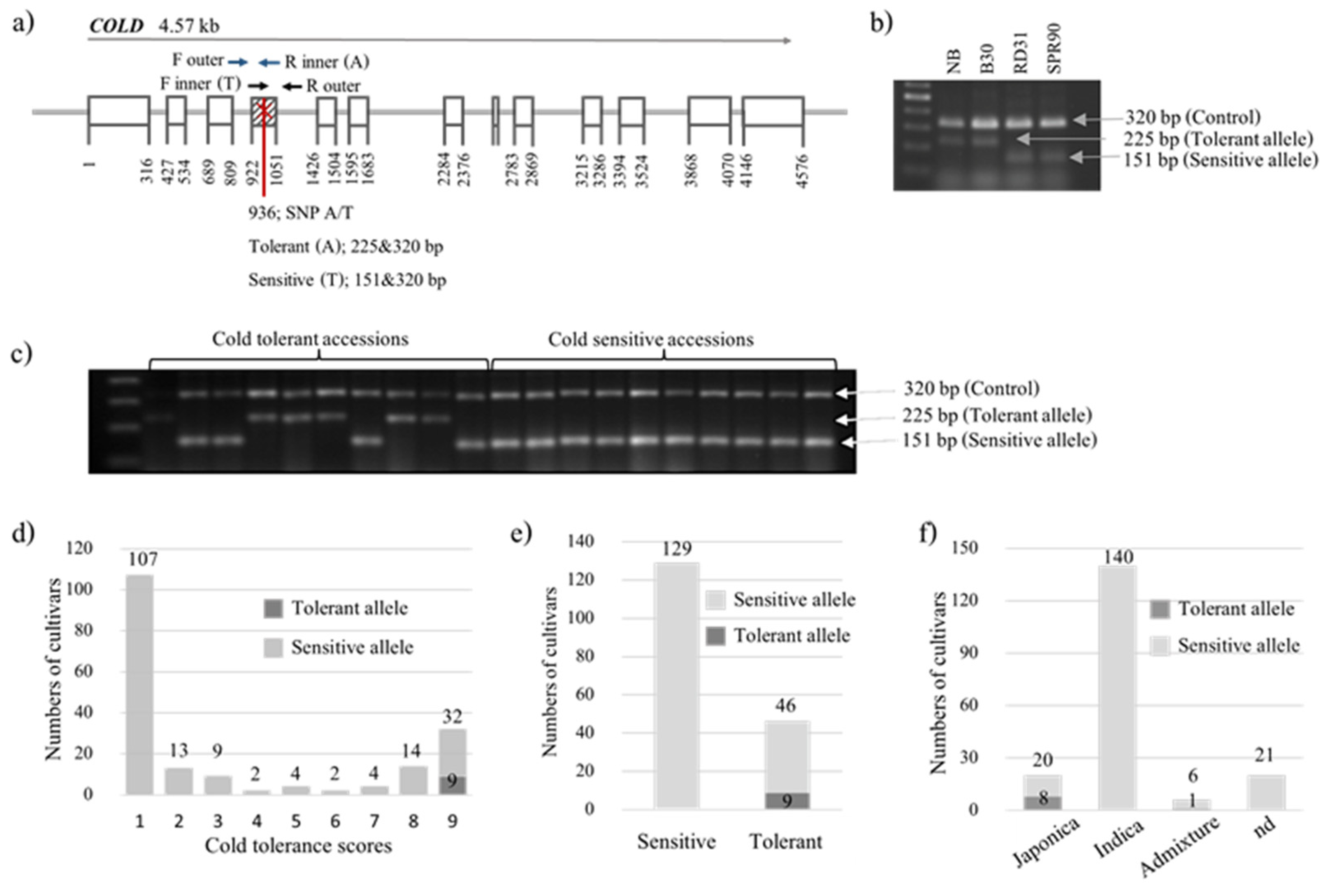 Plants 12 00215 g003