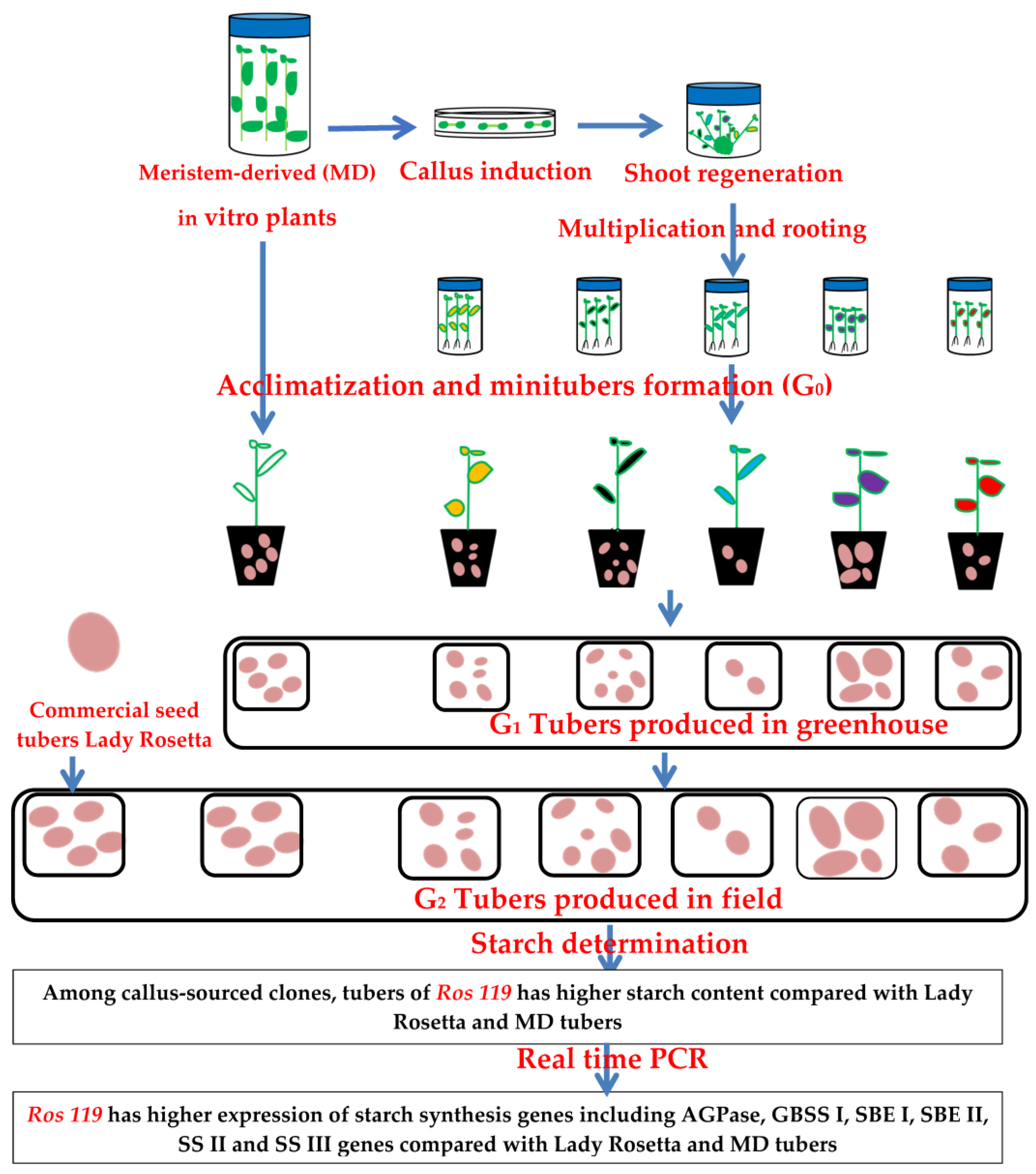 Plants 12 00232 g007
