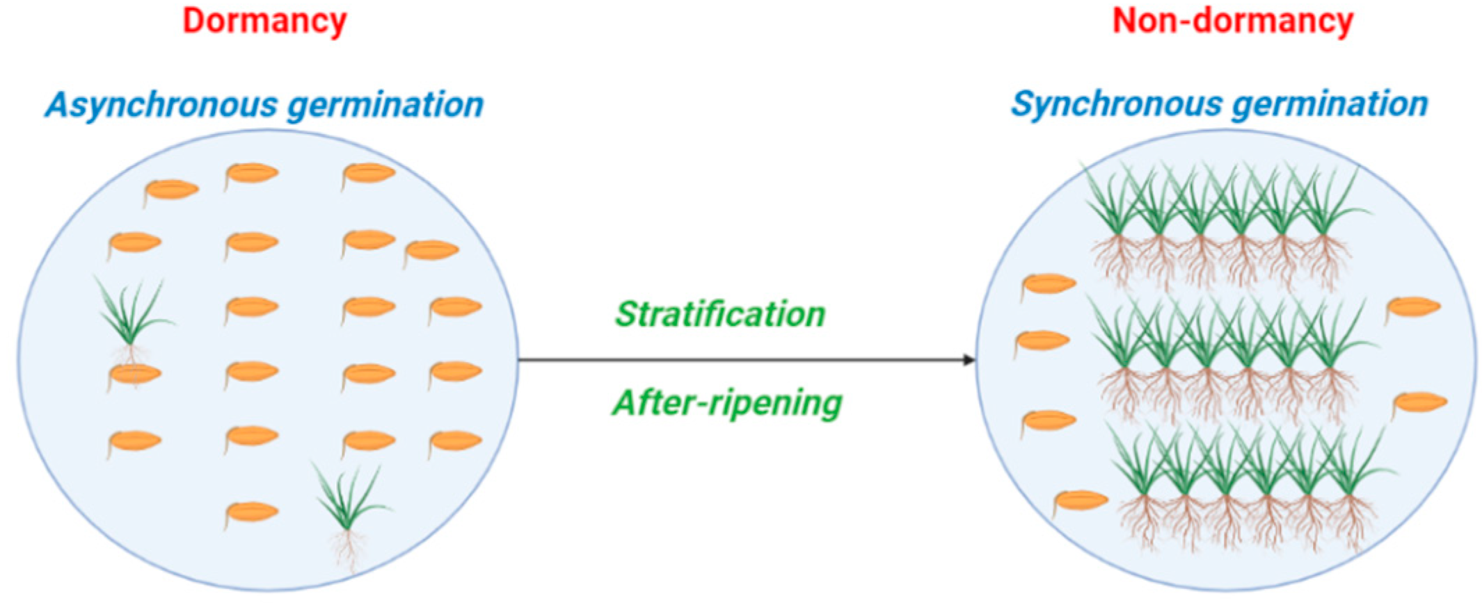 Plants 12 00233 g005