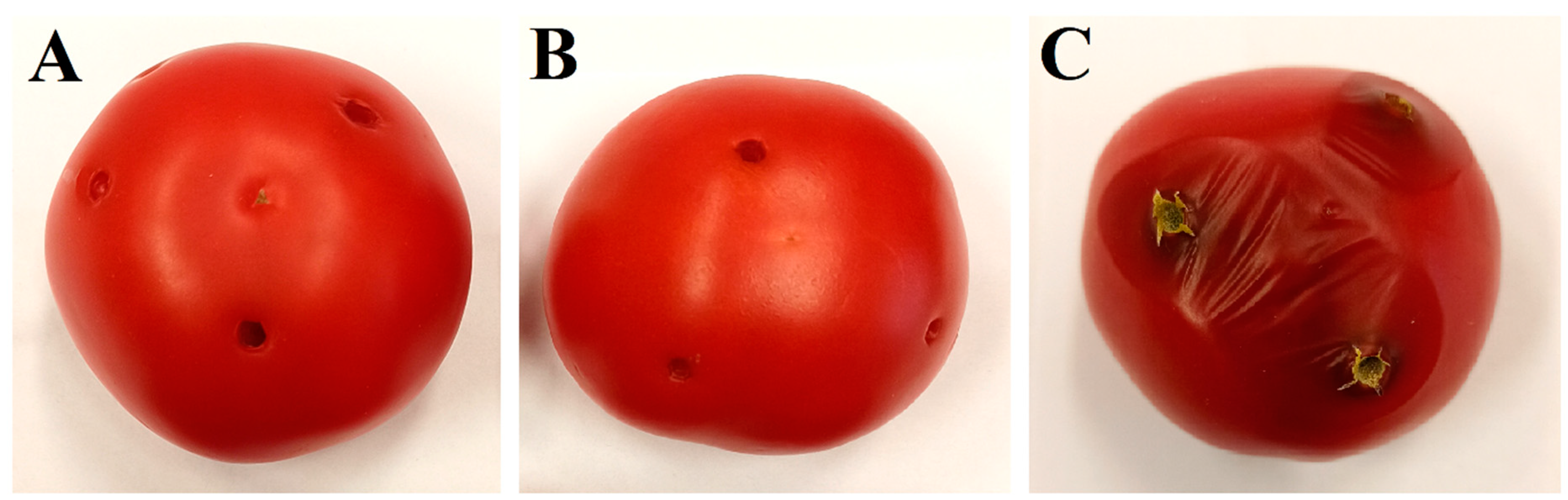 Plants 12 00236 g005a