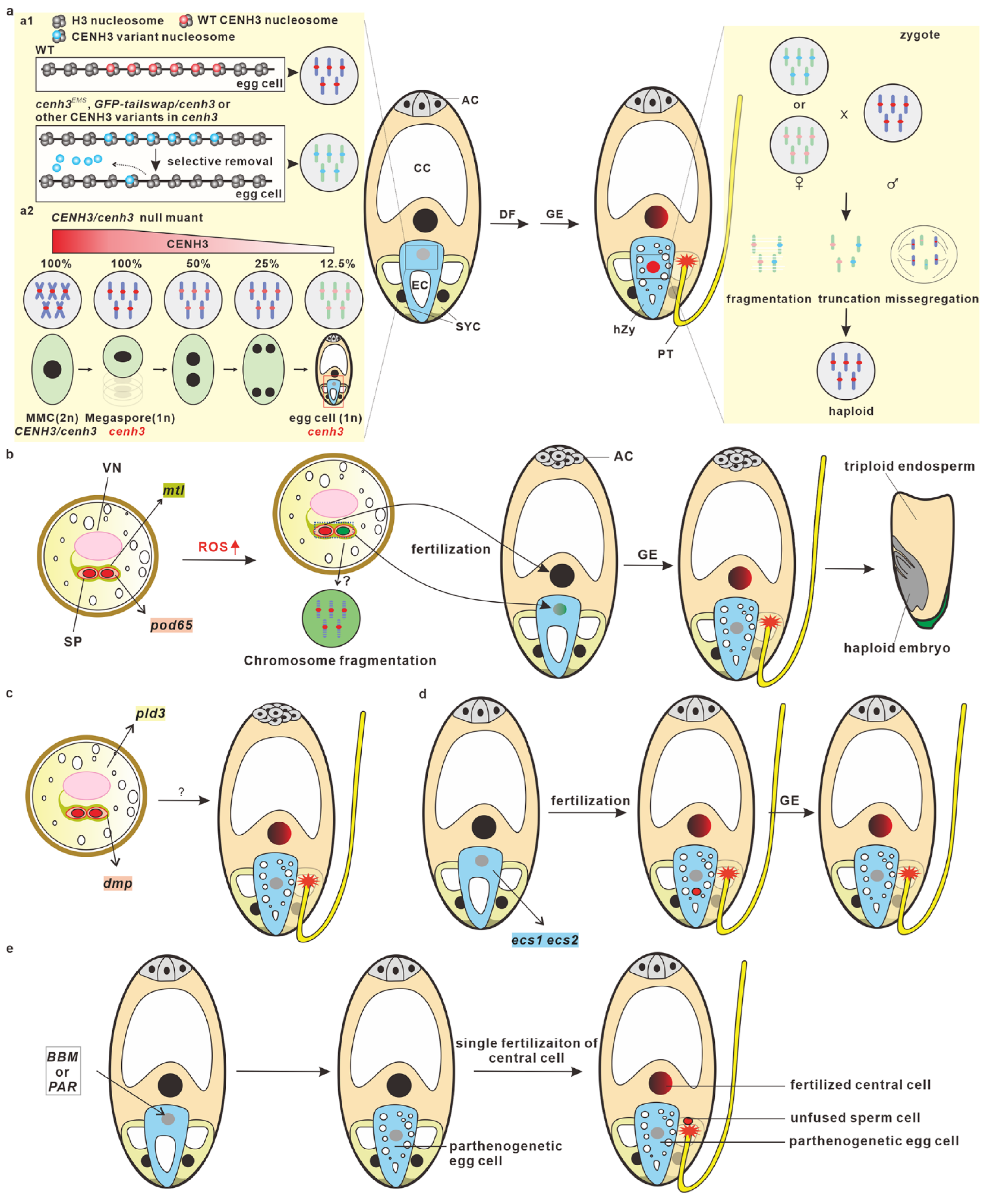 Plants 12 00243 g002