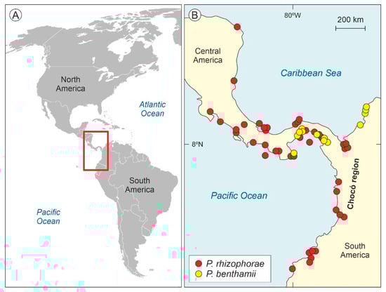 Plants 12 00244 g002