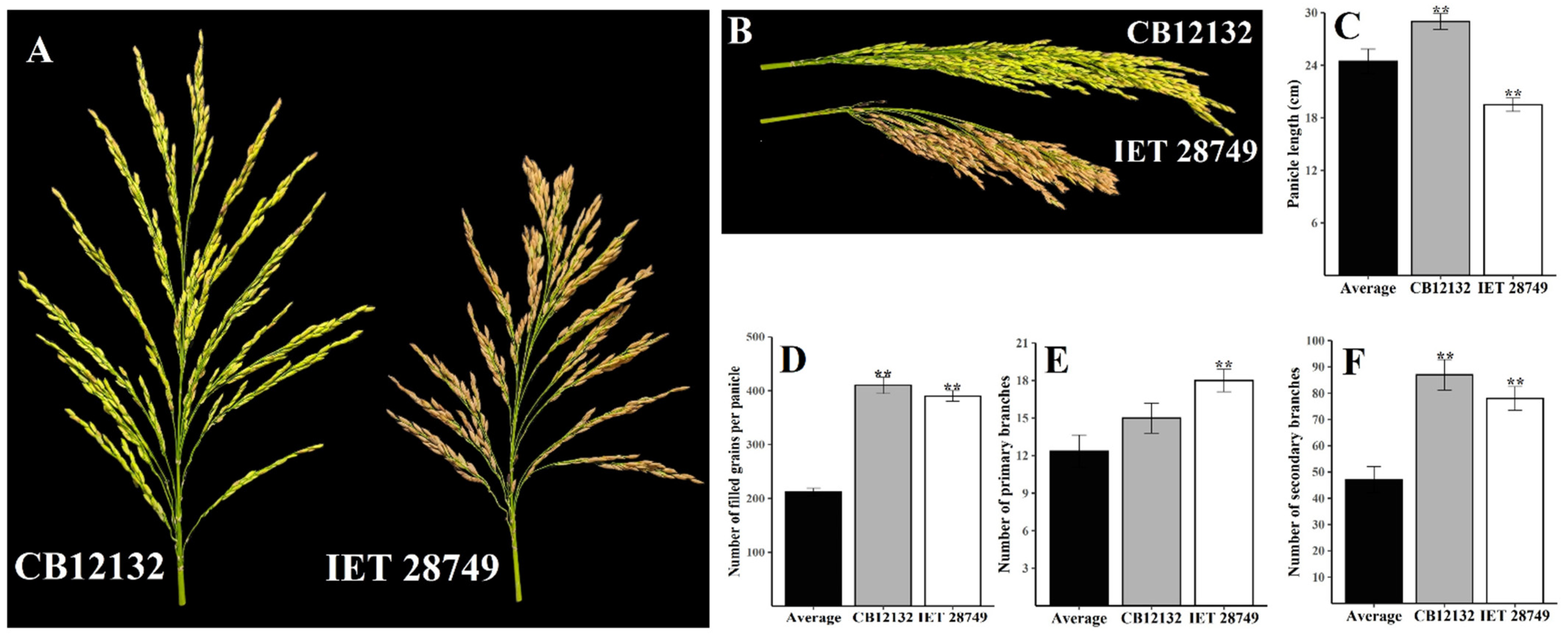 Plants 12 00250 g001