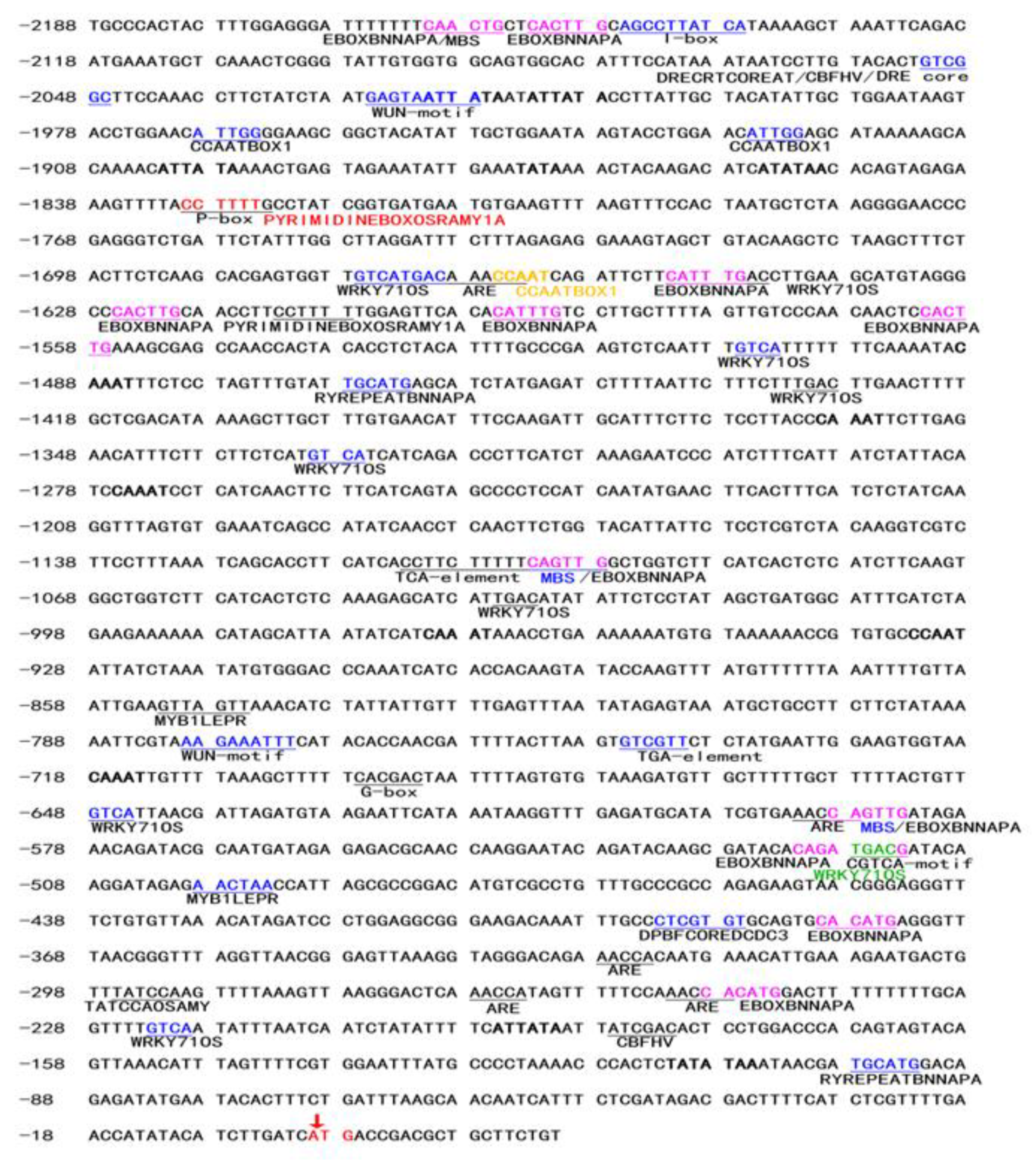 Plants 12 00252 g001