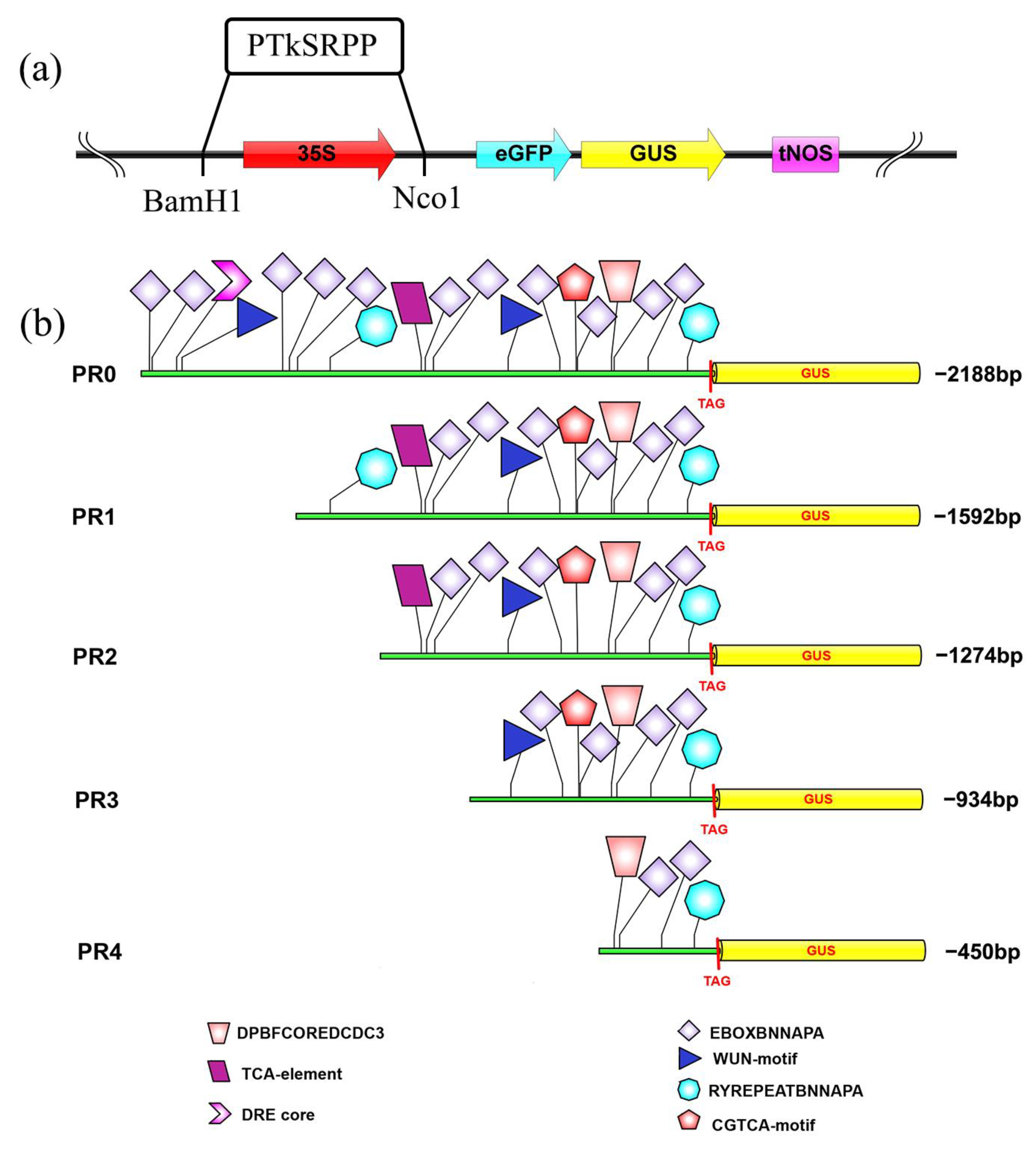 Plants 12 00252 g002