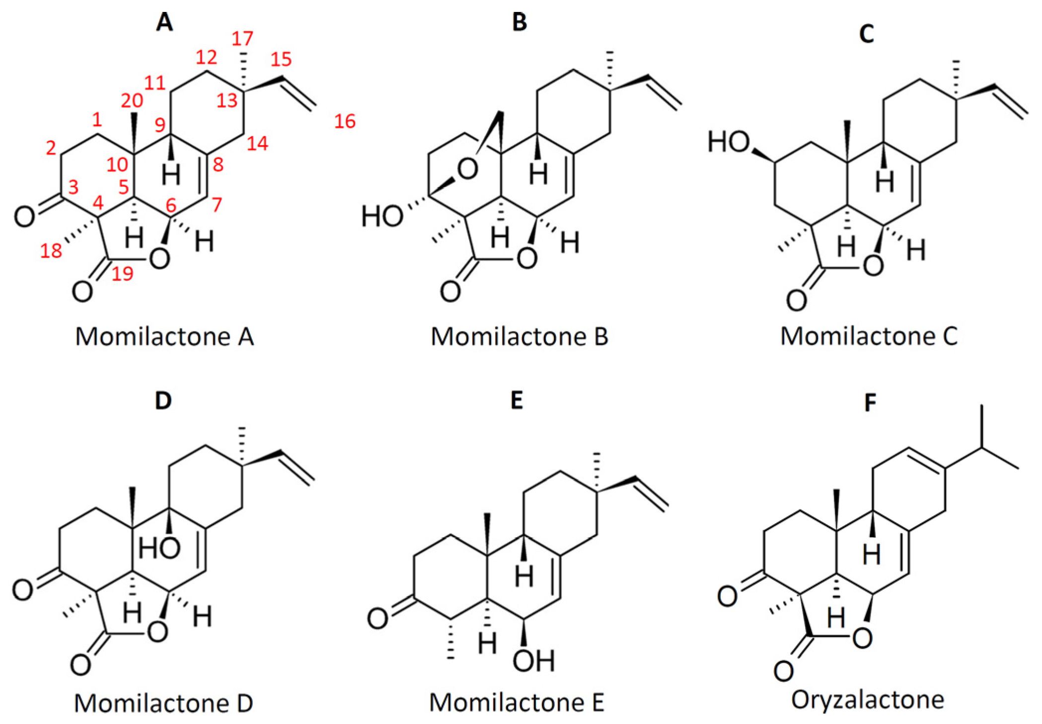 Plants 12 00260 g001