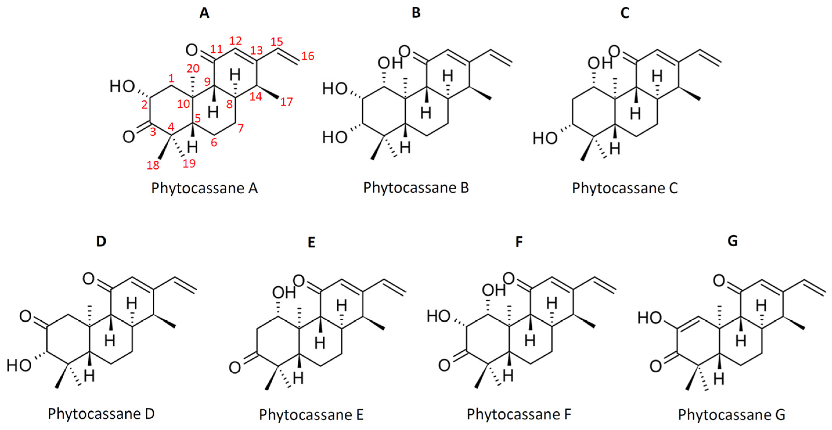 Plants 12 00260 g002