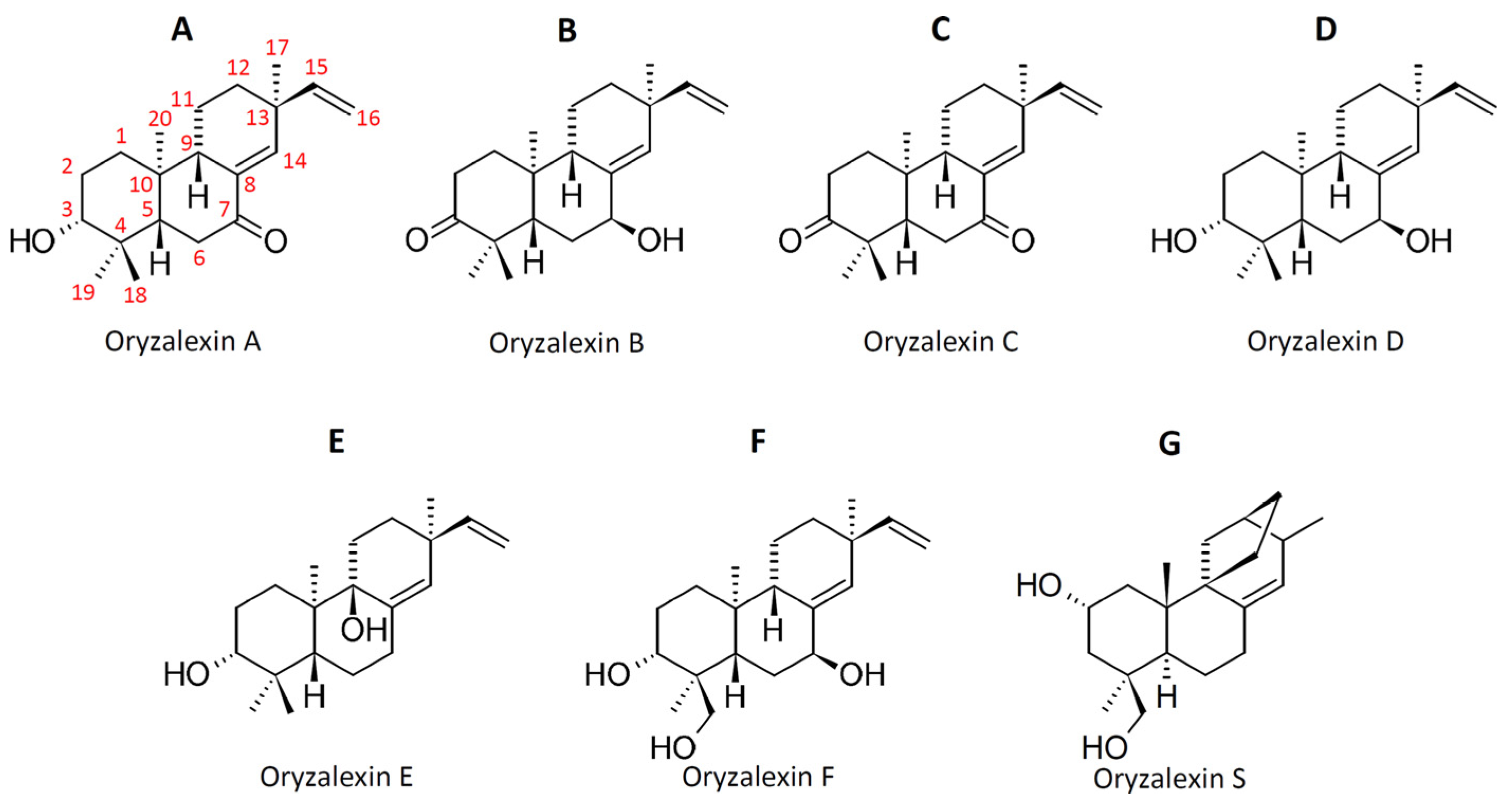 Plants 12 00260 g003