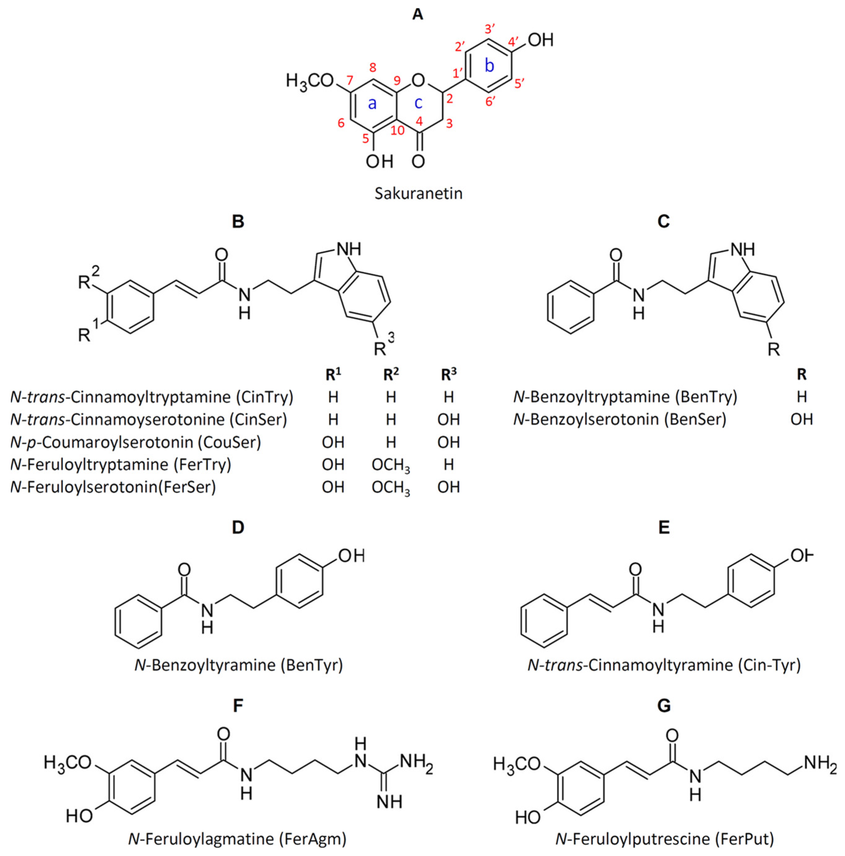 Plants 12 00260 g004