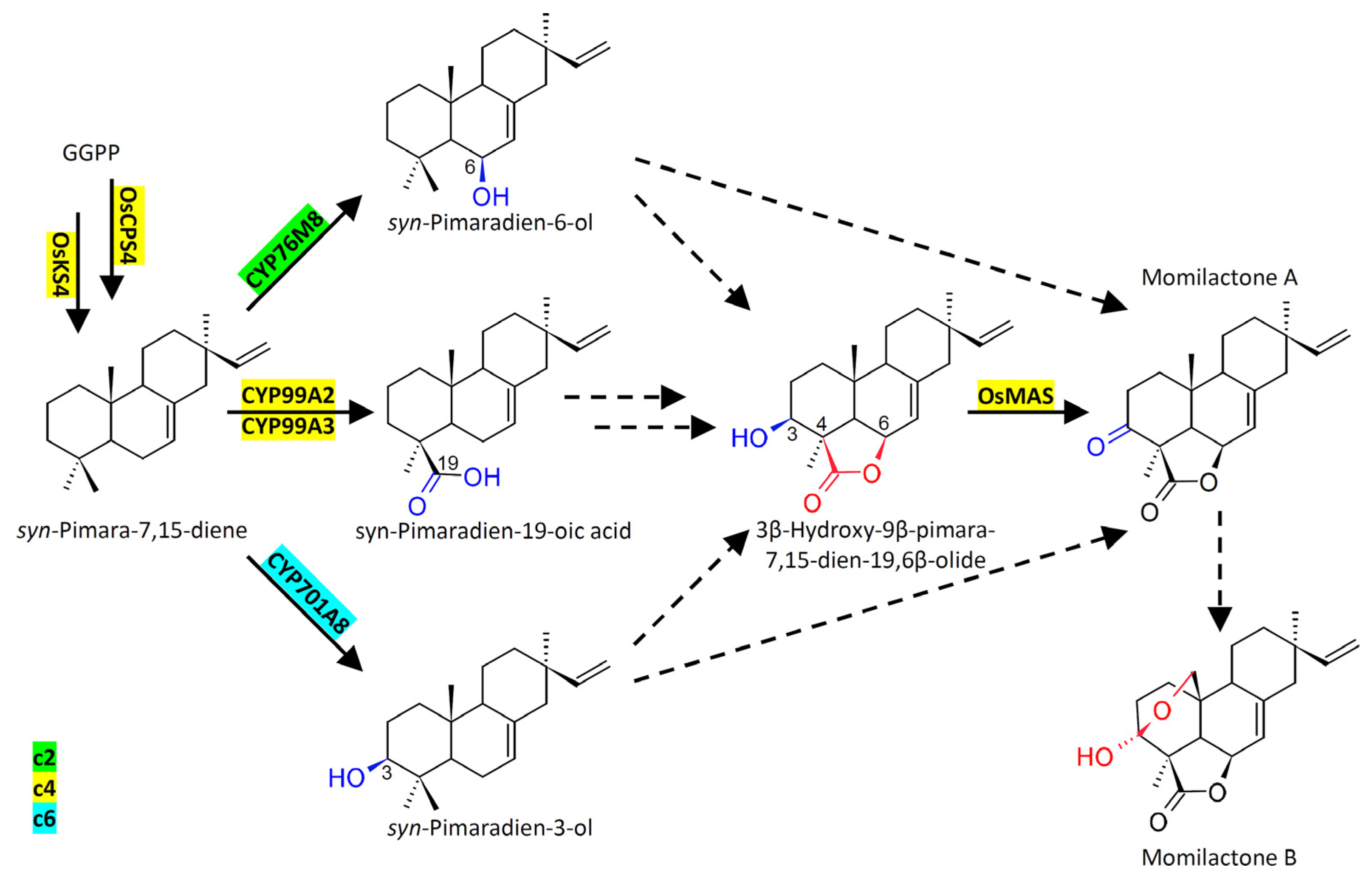 Plants 12 00260 g008