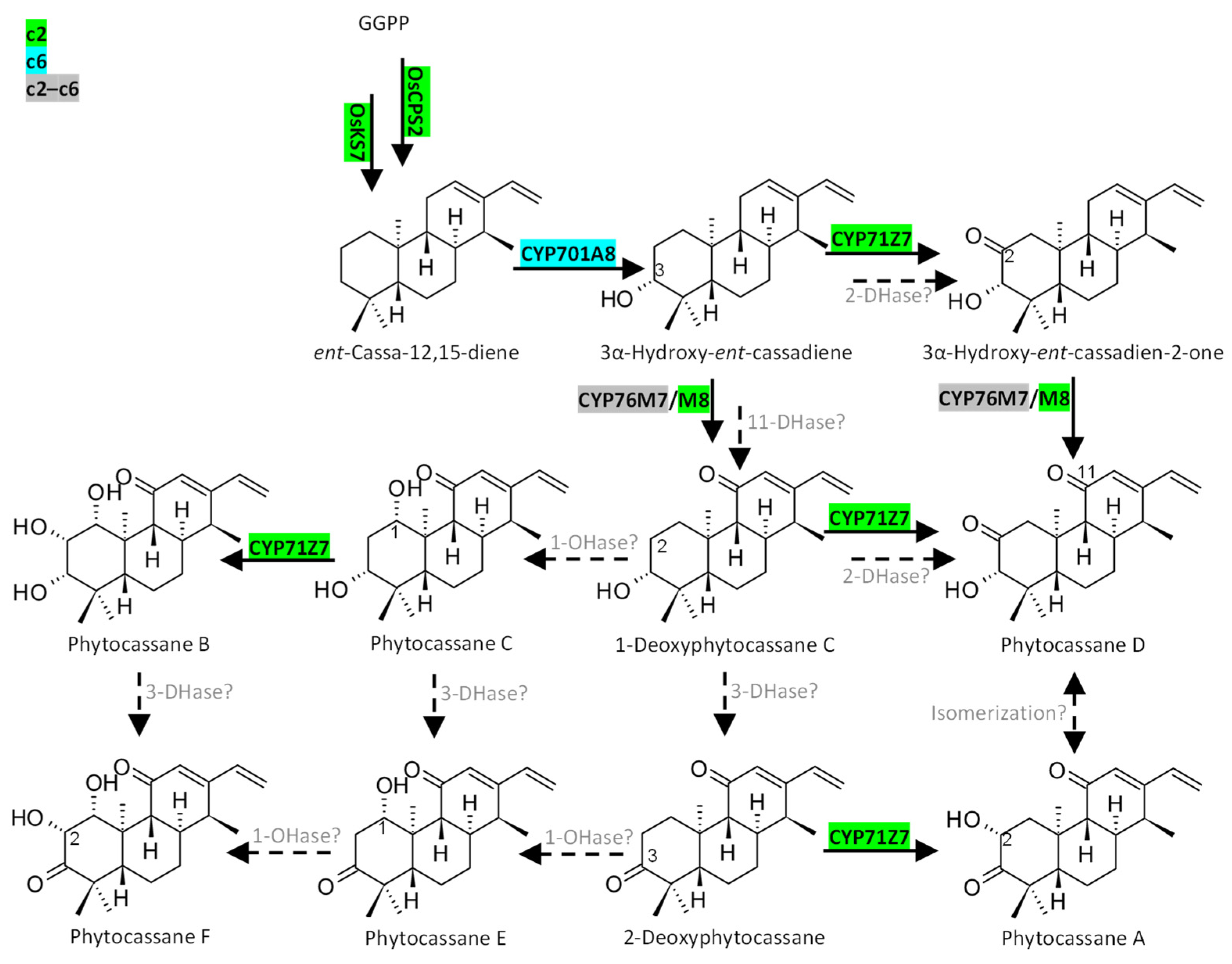 Plants 12 00260 g009