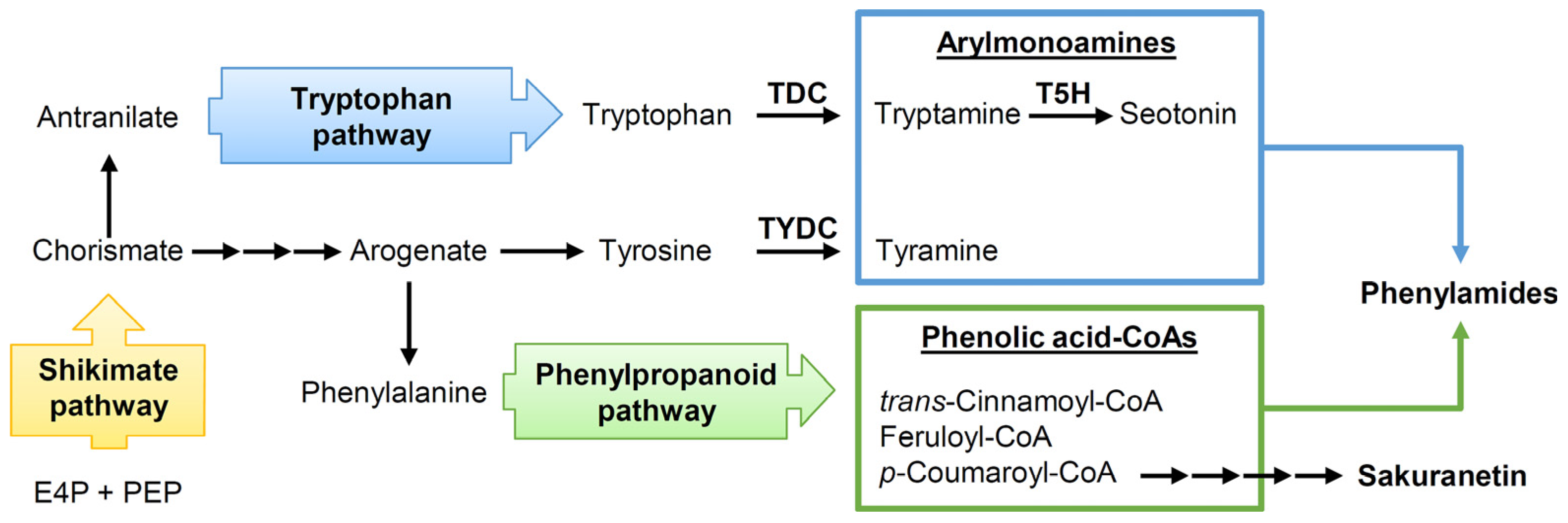 Plants 12 00260 g012