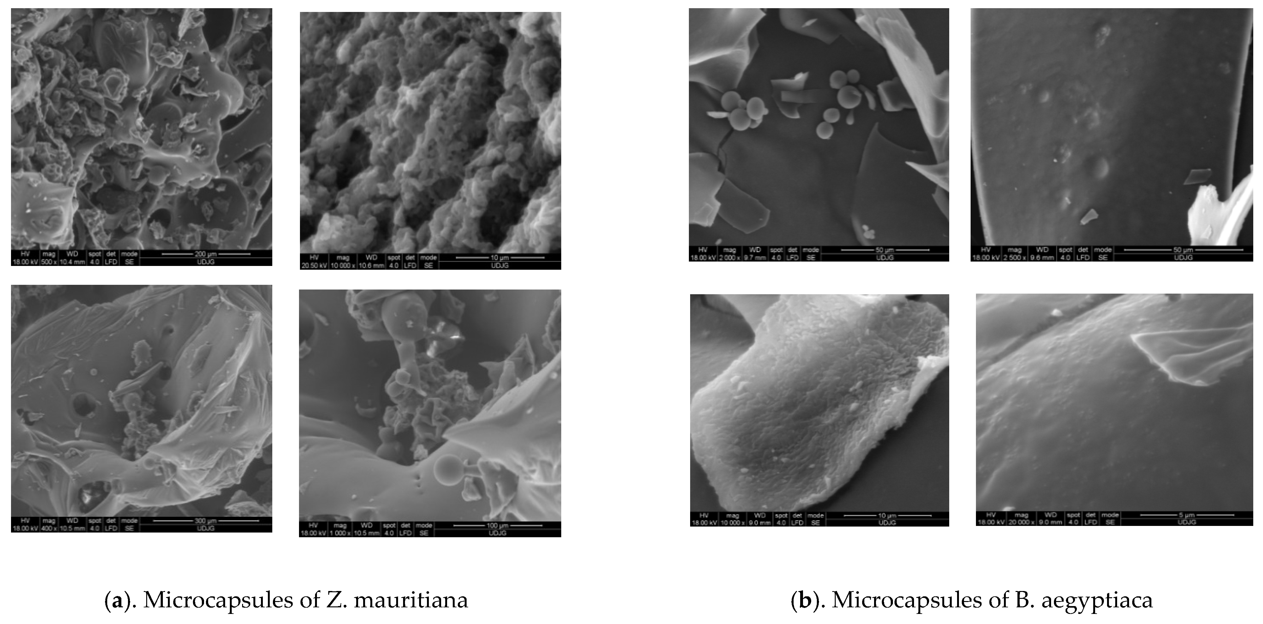 Plants 12 00267 g003