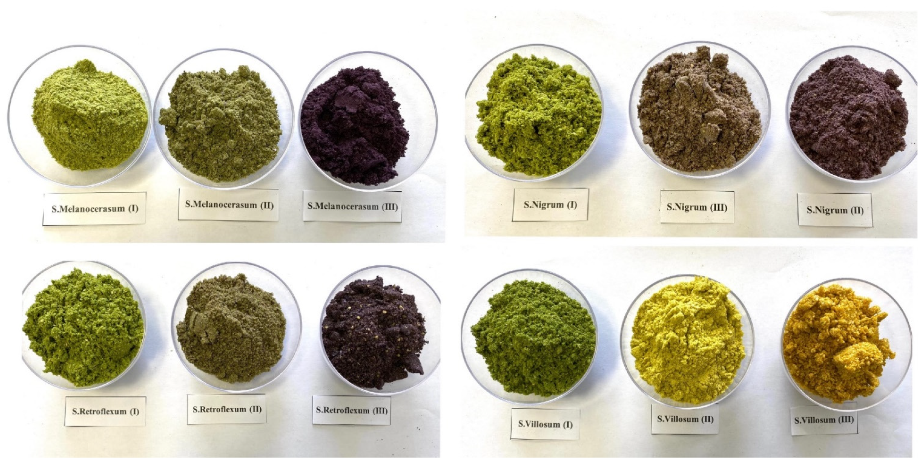 Plants 12 00268 g005