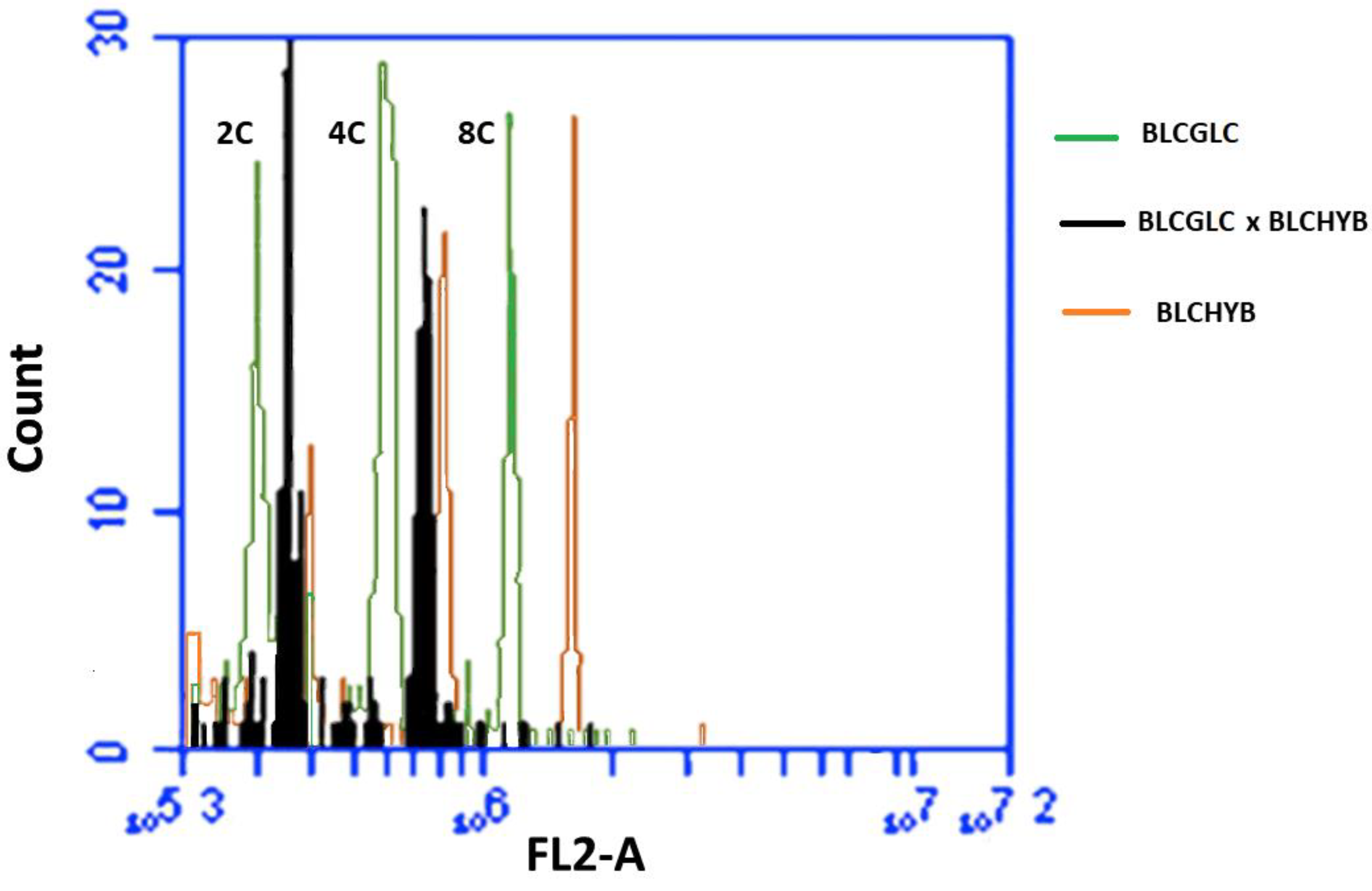 Plants 12 00281 g004