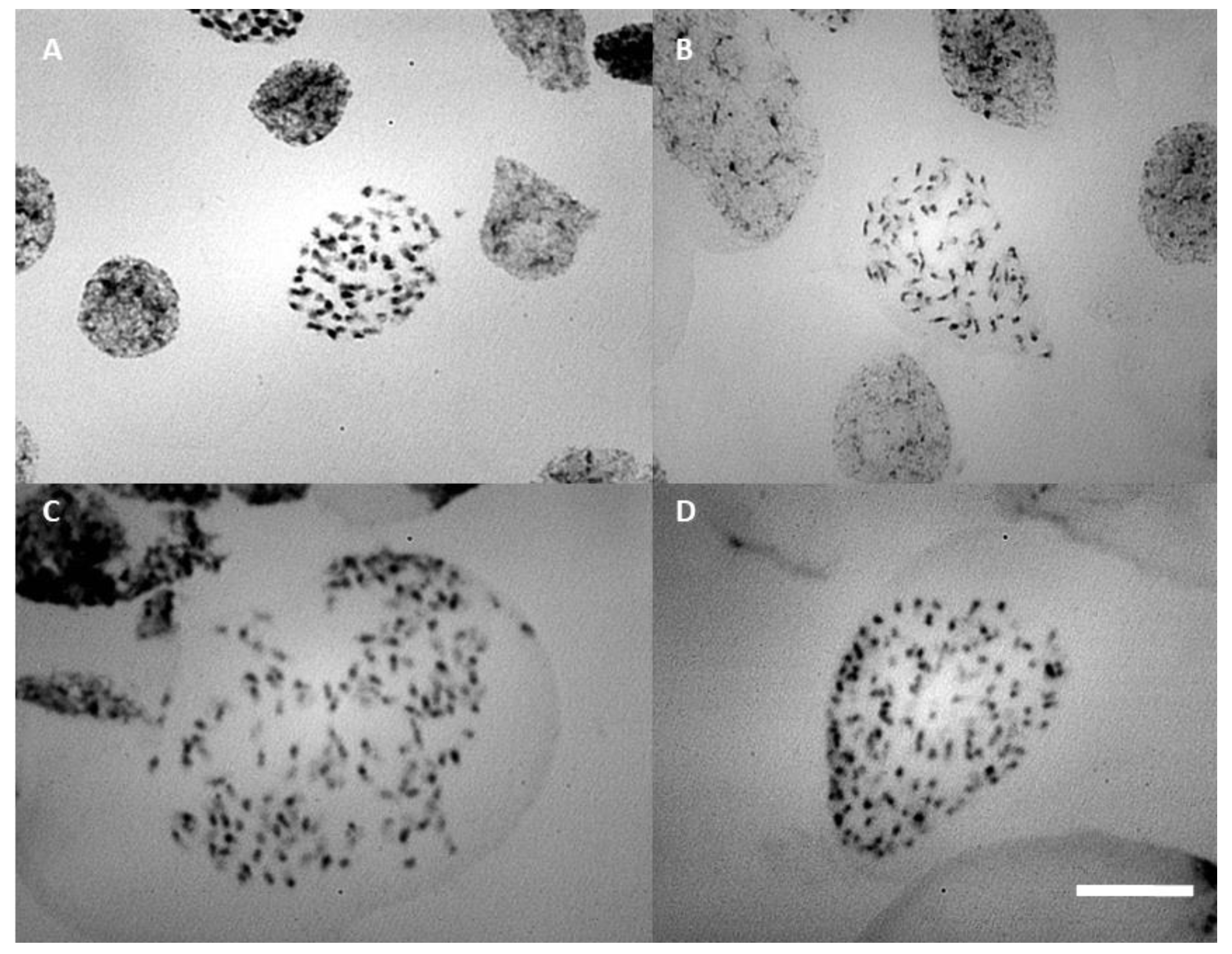 Plants 12 00281 g006