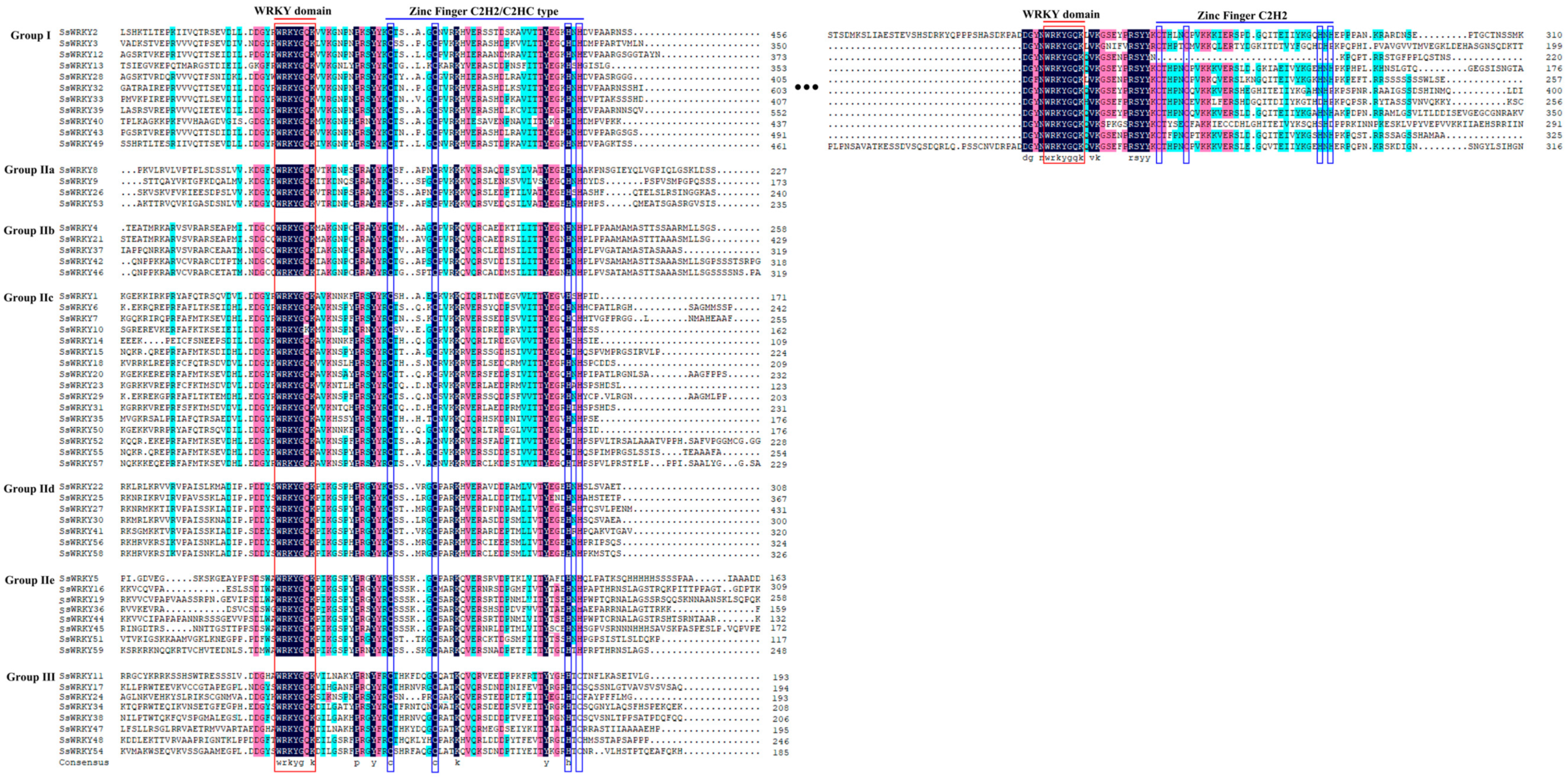 Plants 12 00288 g002