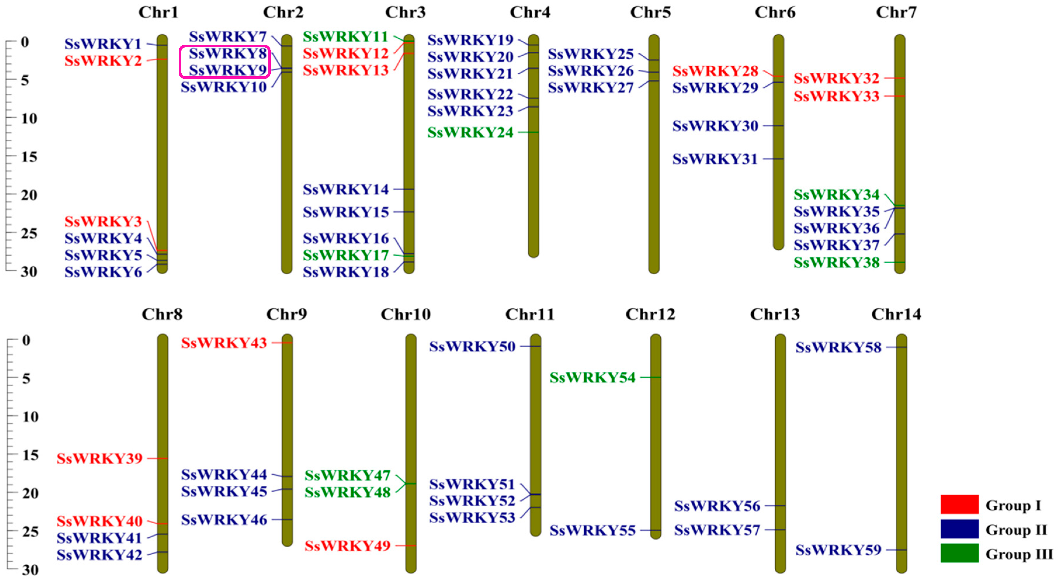 Plants 12 00288 g004
