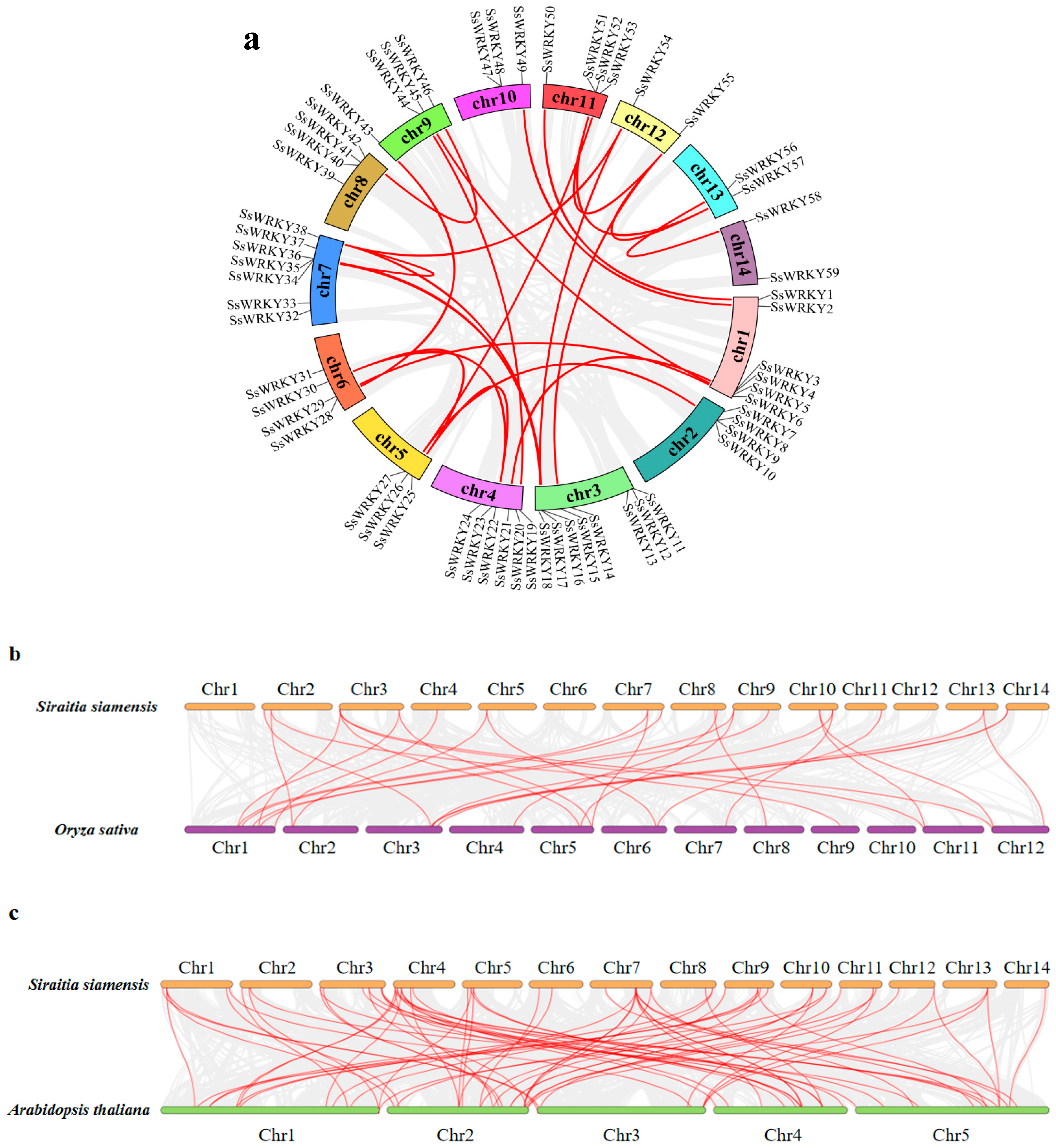 Plants 12 00288 g005a
