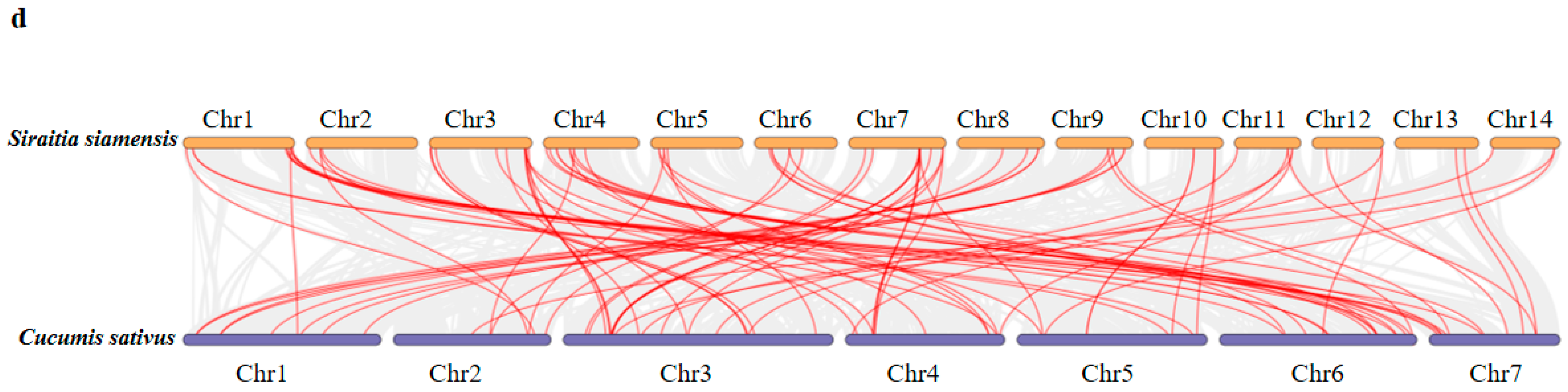 Plants 12 00288 g005b