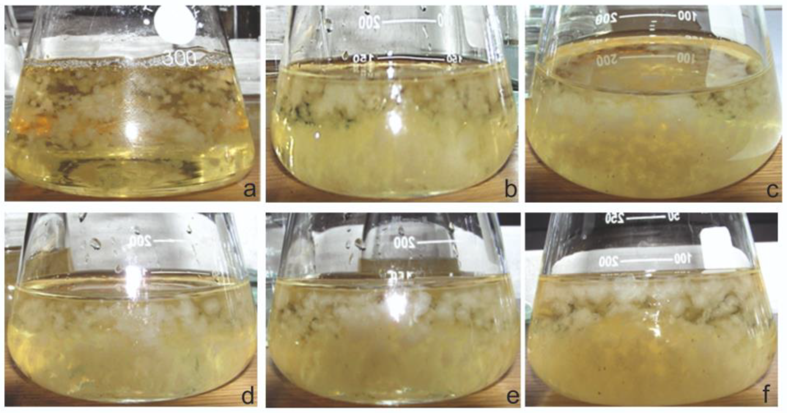 Plants 12 00294 g001